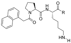 Molecules 27 01381 i001