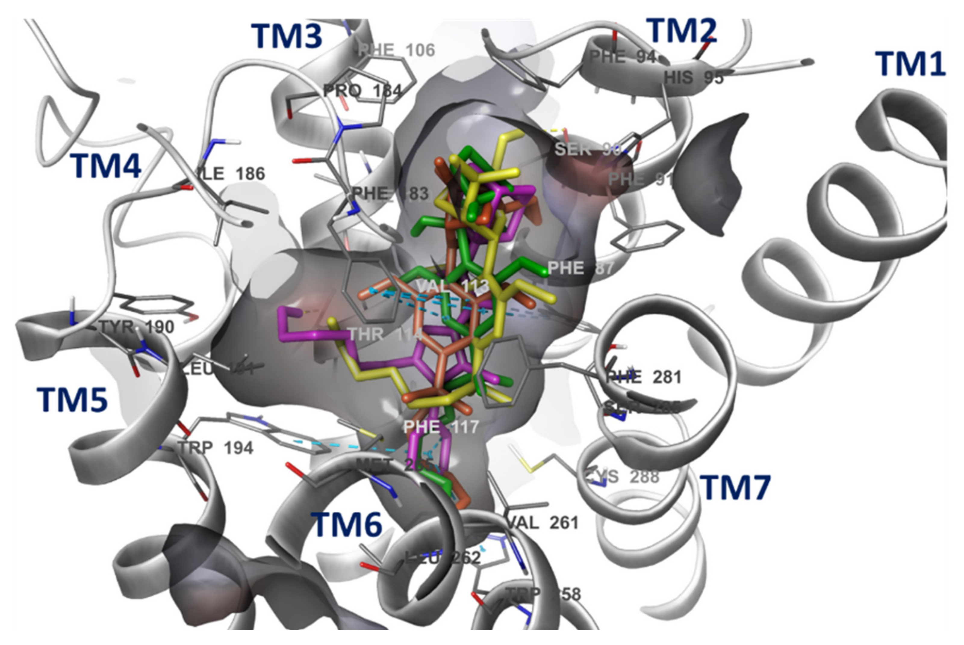 Molecules 27 01382 g007