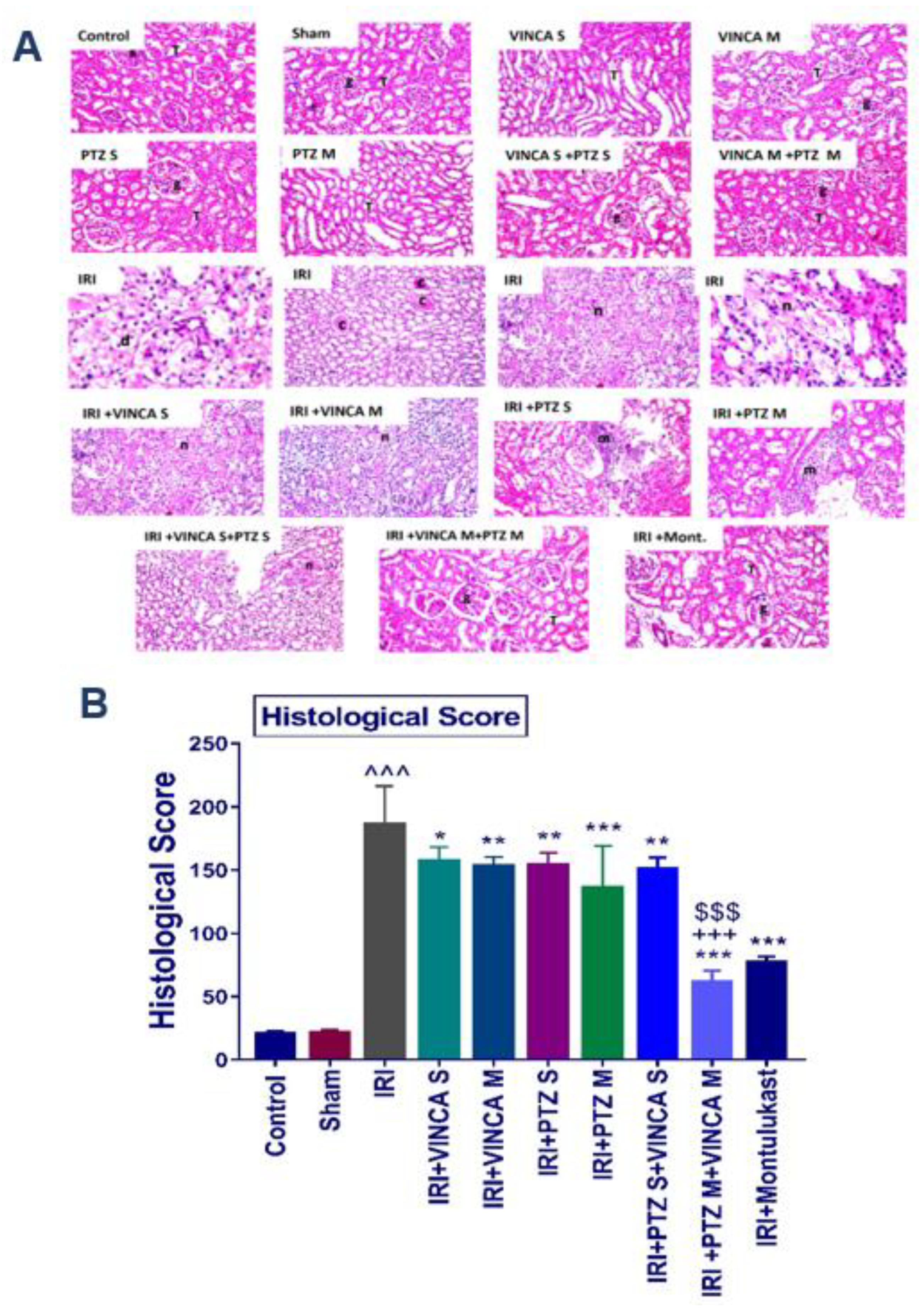 Molecules 27 01383 g005