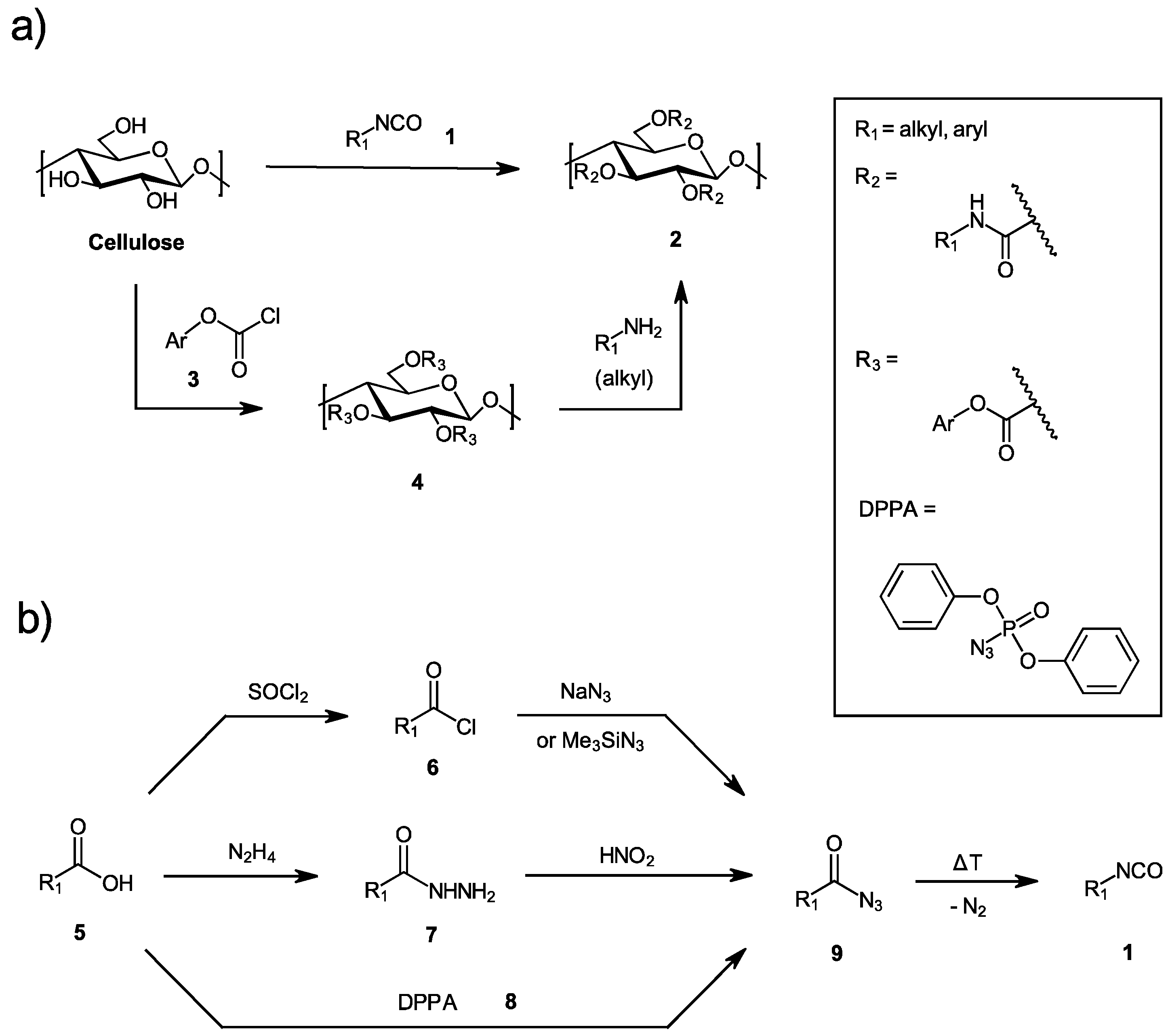 Molecules 27 01384 g001