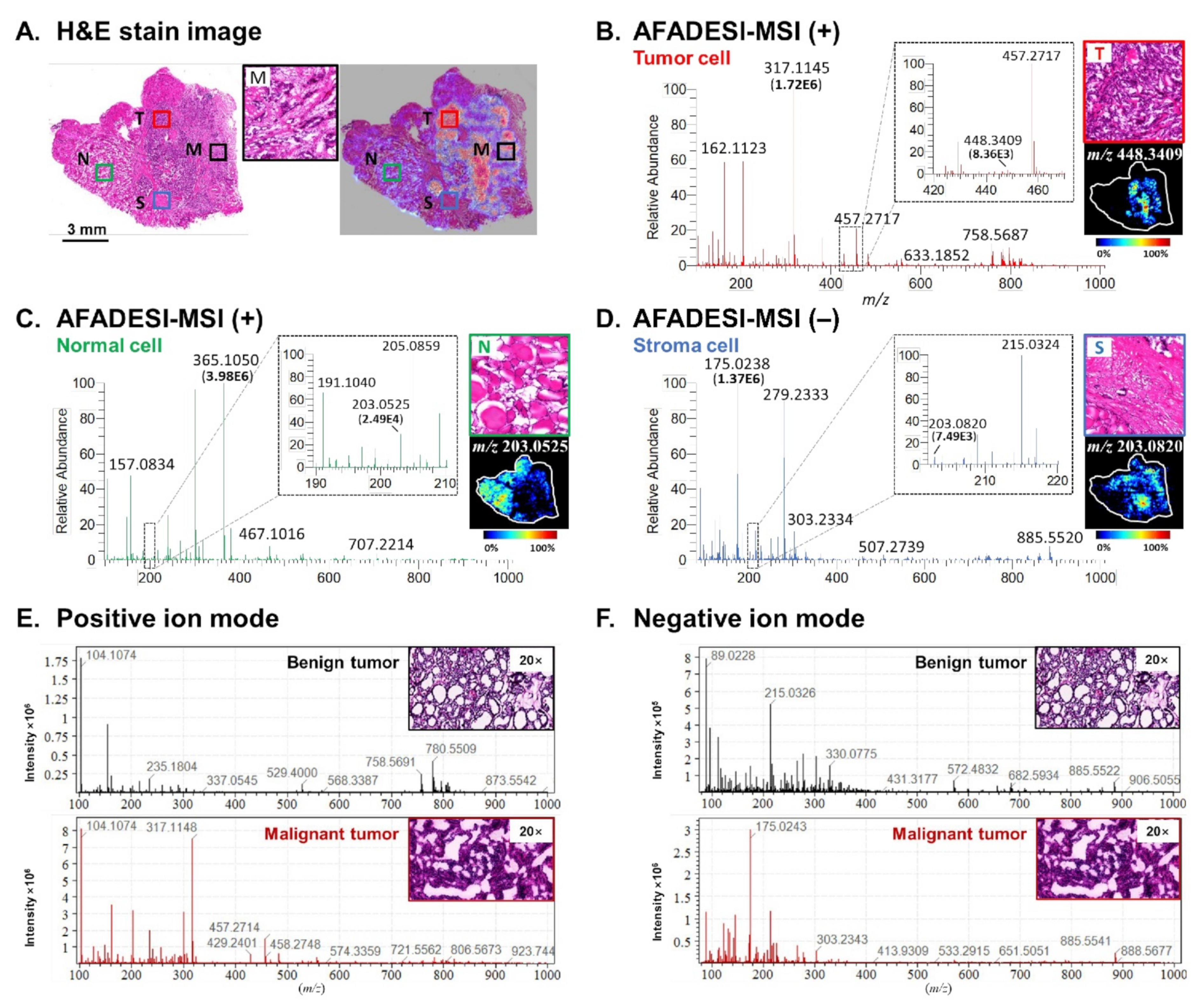 Molecules 27 01390 g001 Molecules 27 01390 g001