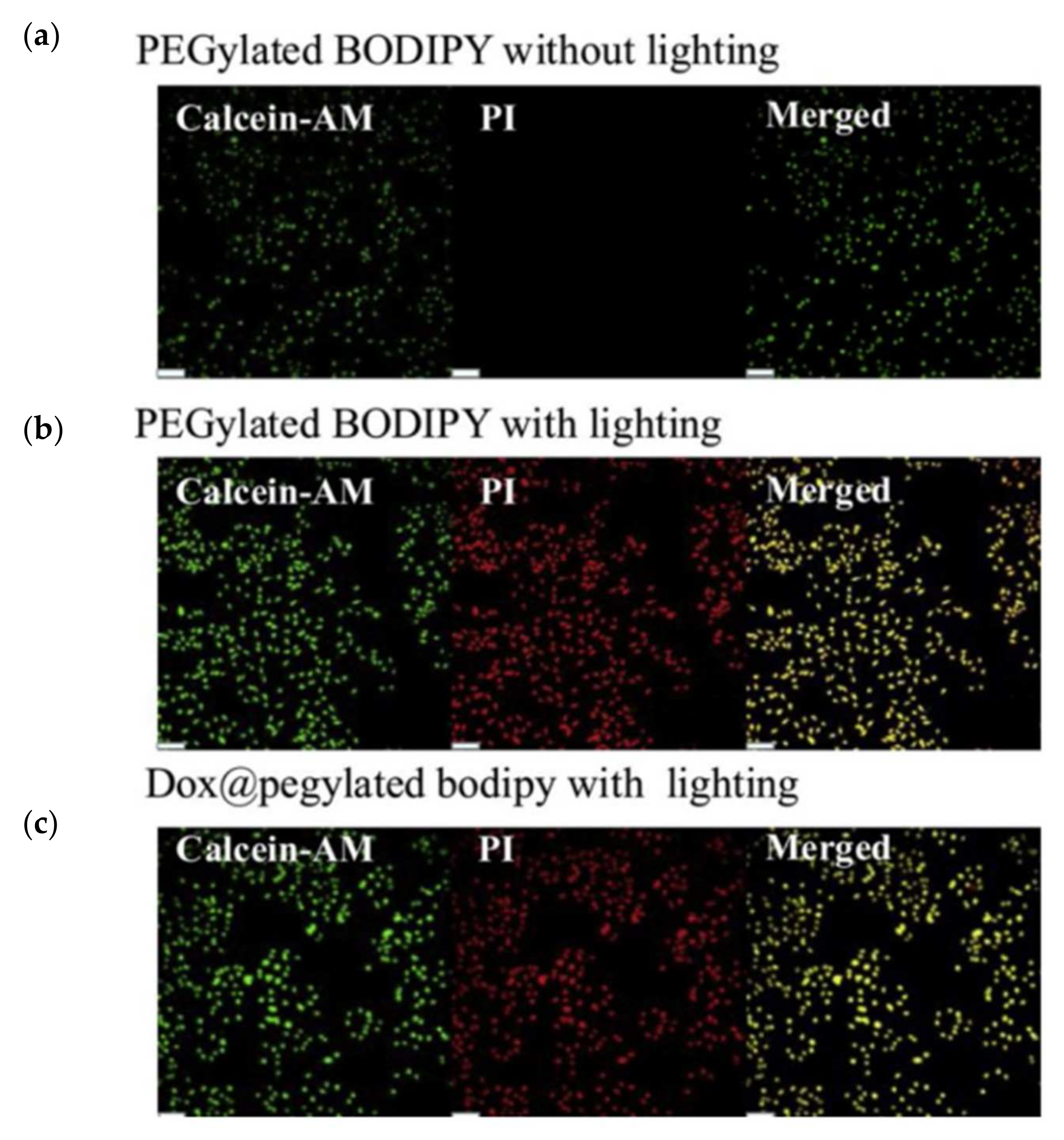 Molecules 27 01396 g006