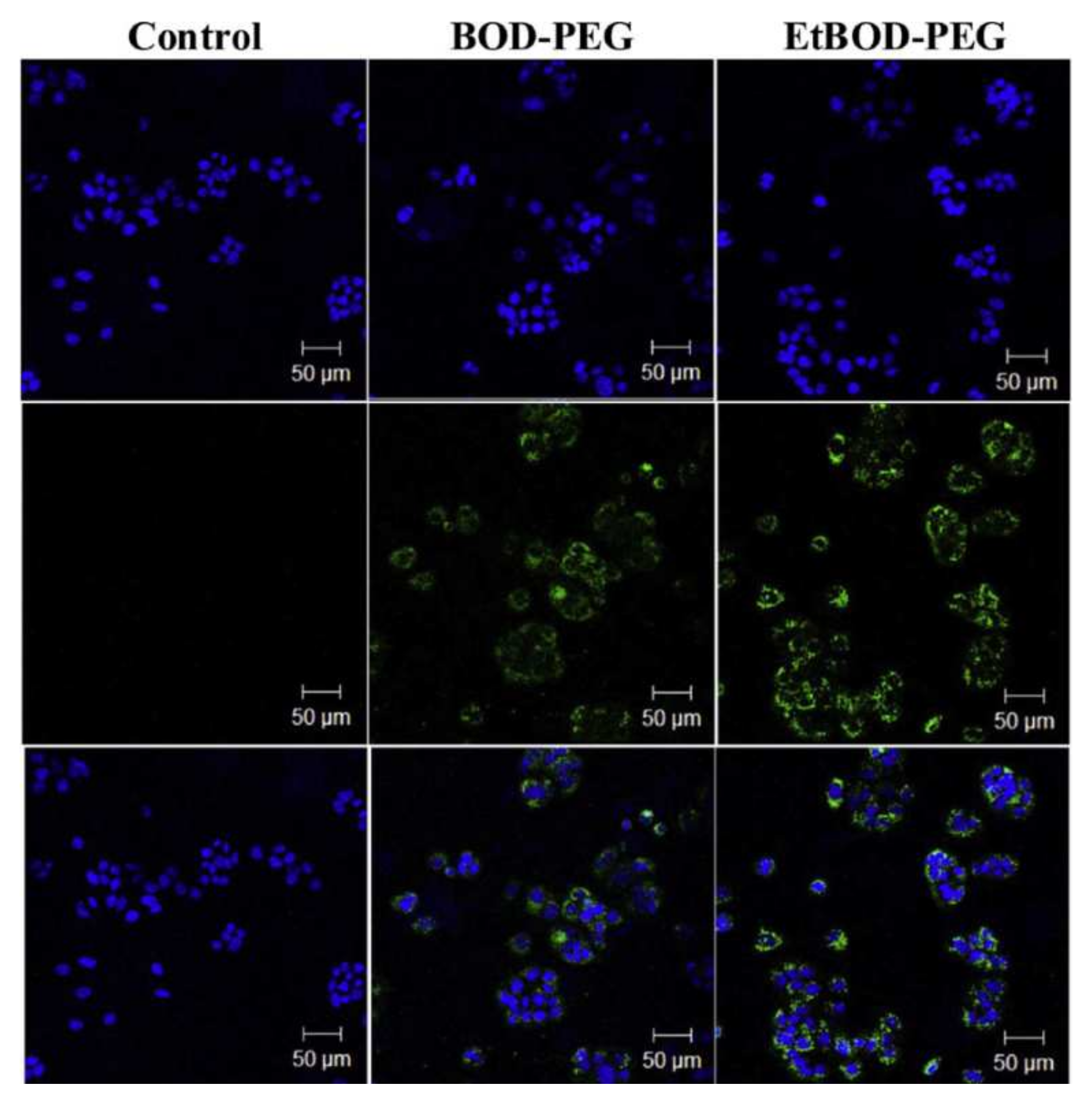 Molecules 27 01396 g007