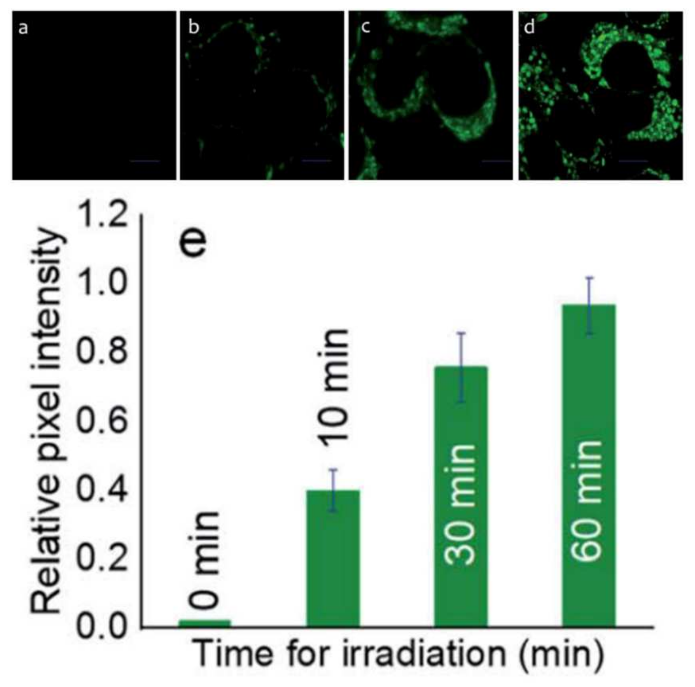 Molecules 27 01396 g008