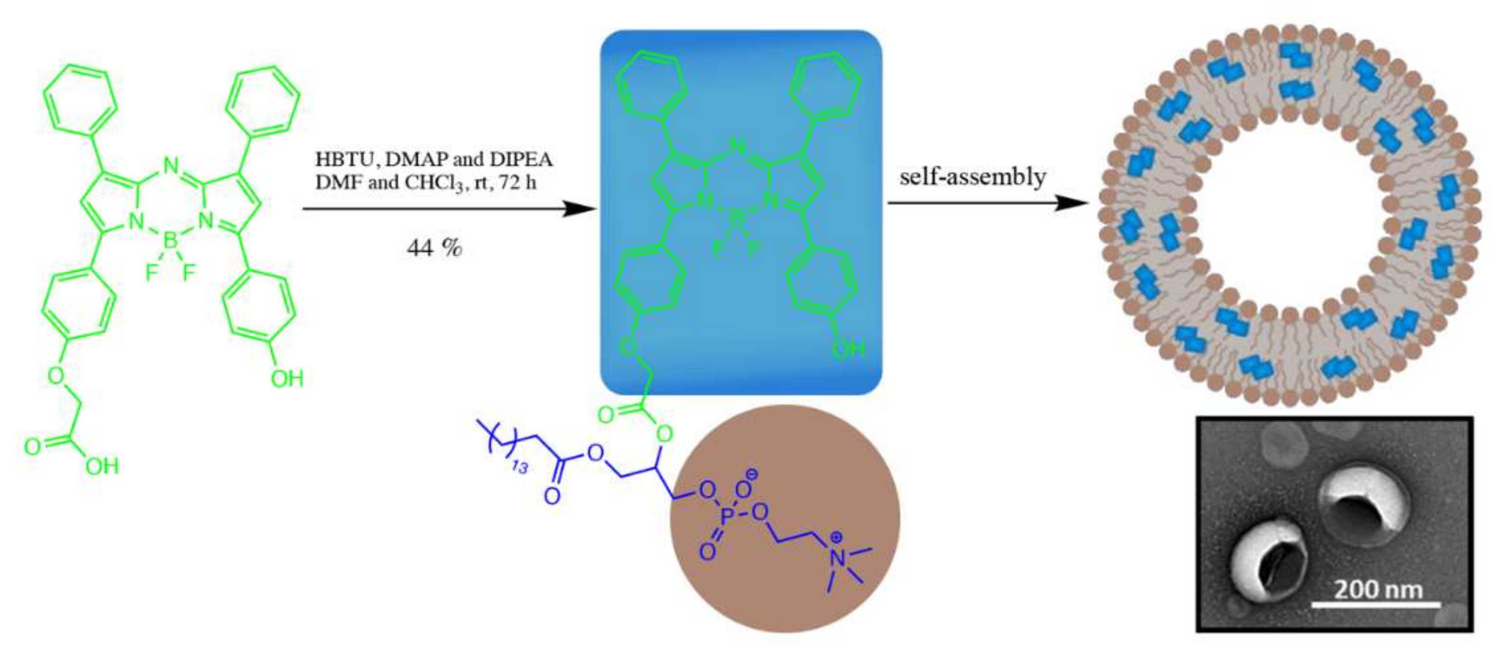 Molecules 27 01396 g014