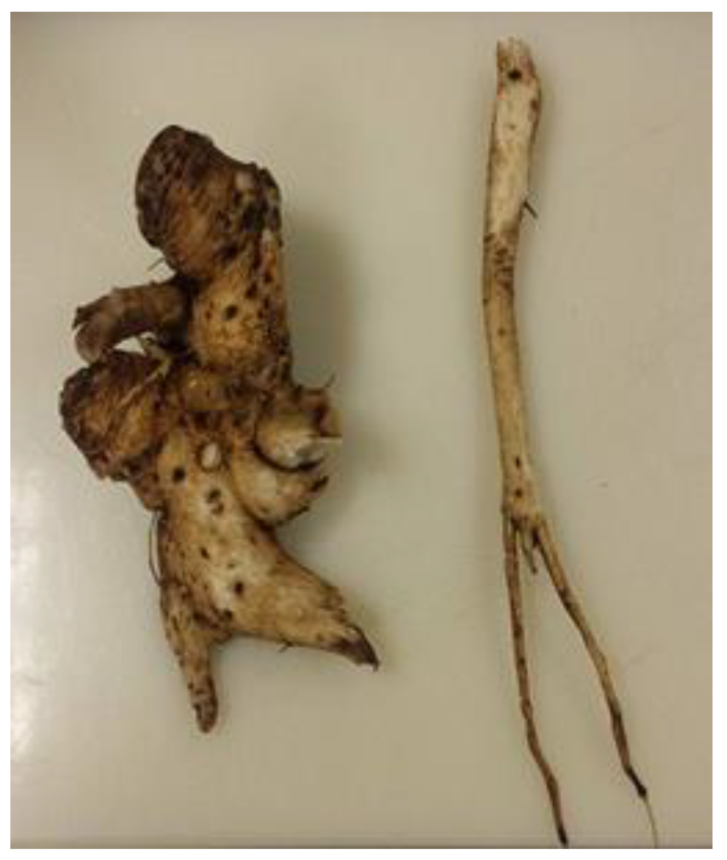 Molecules 27 01406 g004