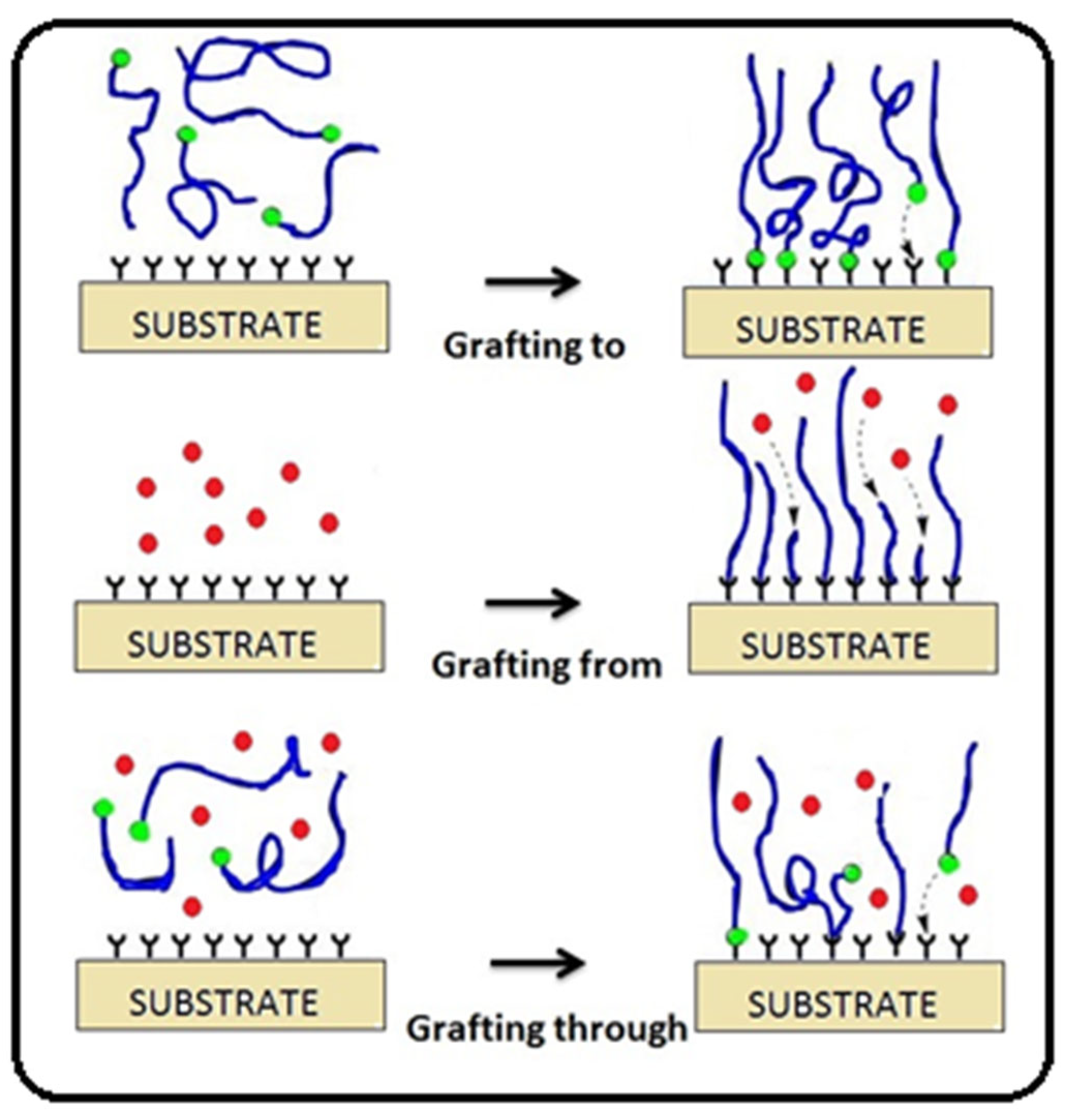Molecules 27 01408 g001