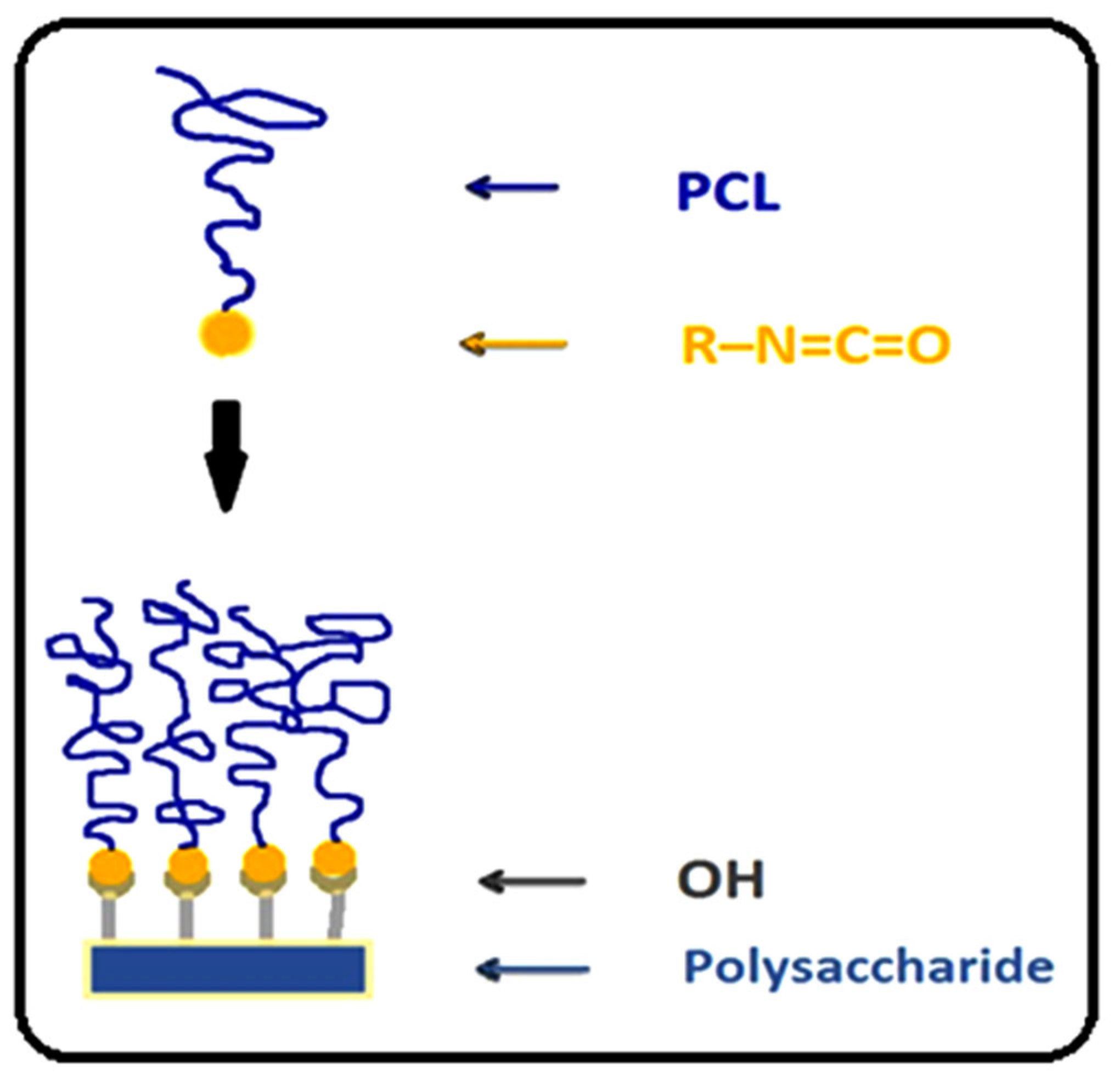 Molecules 27 01408 g002