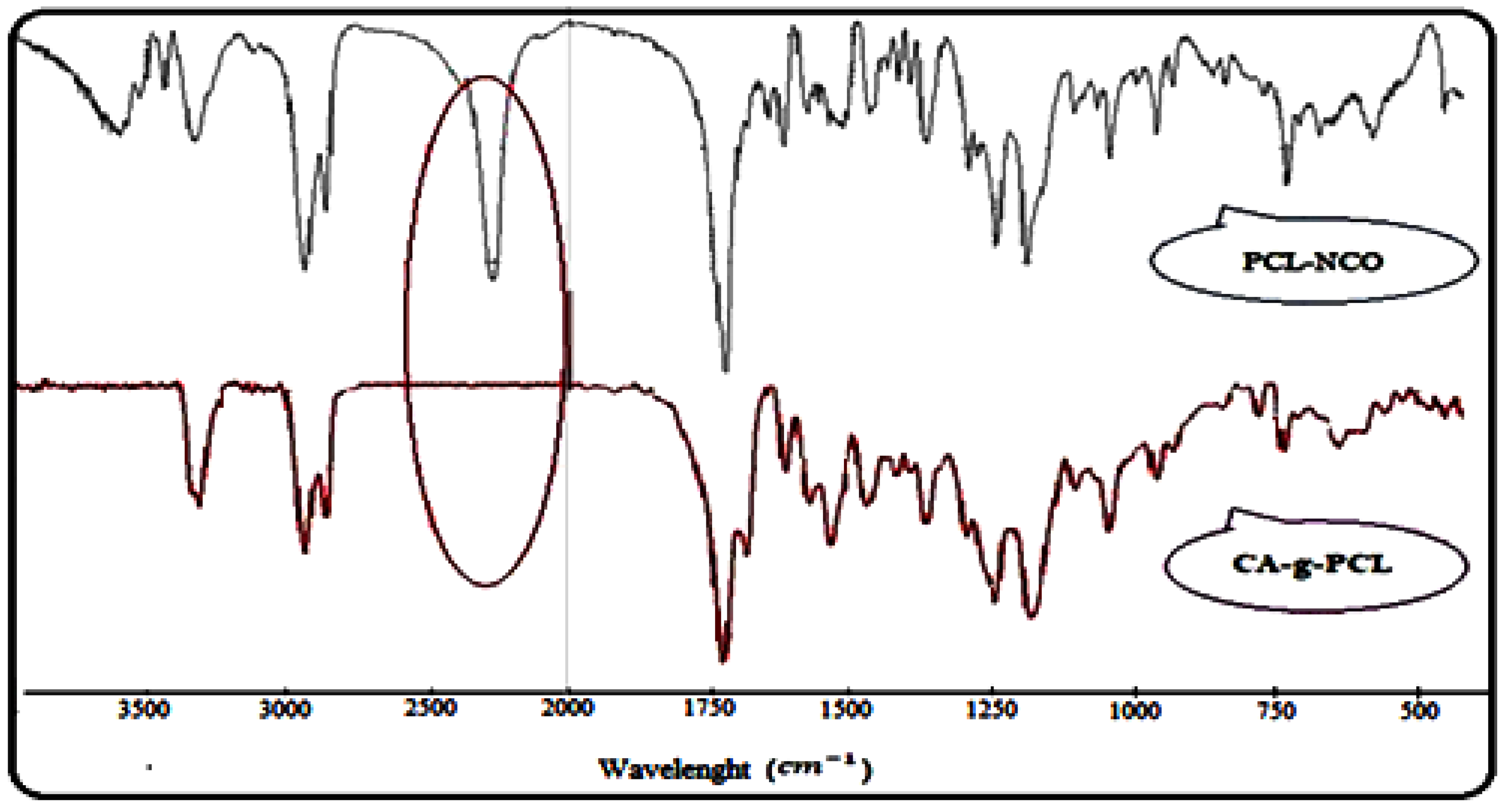 Molecules 27 01408 g011