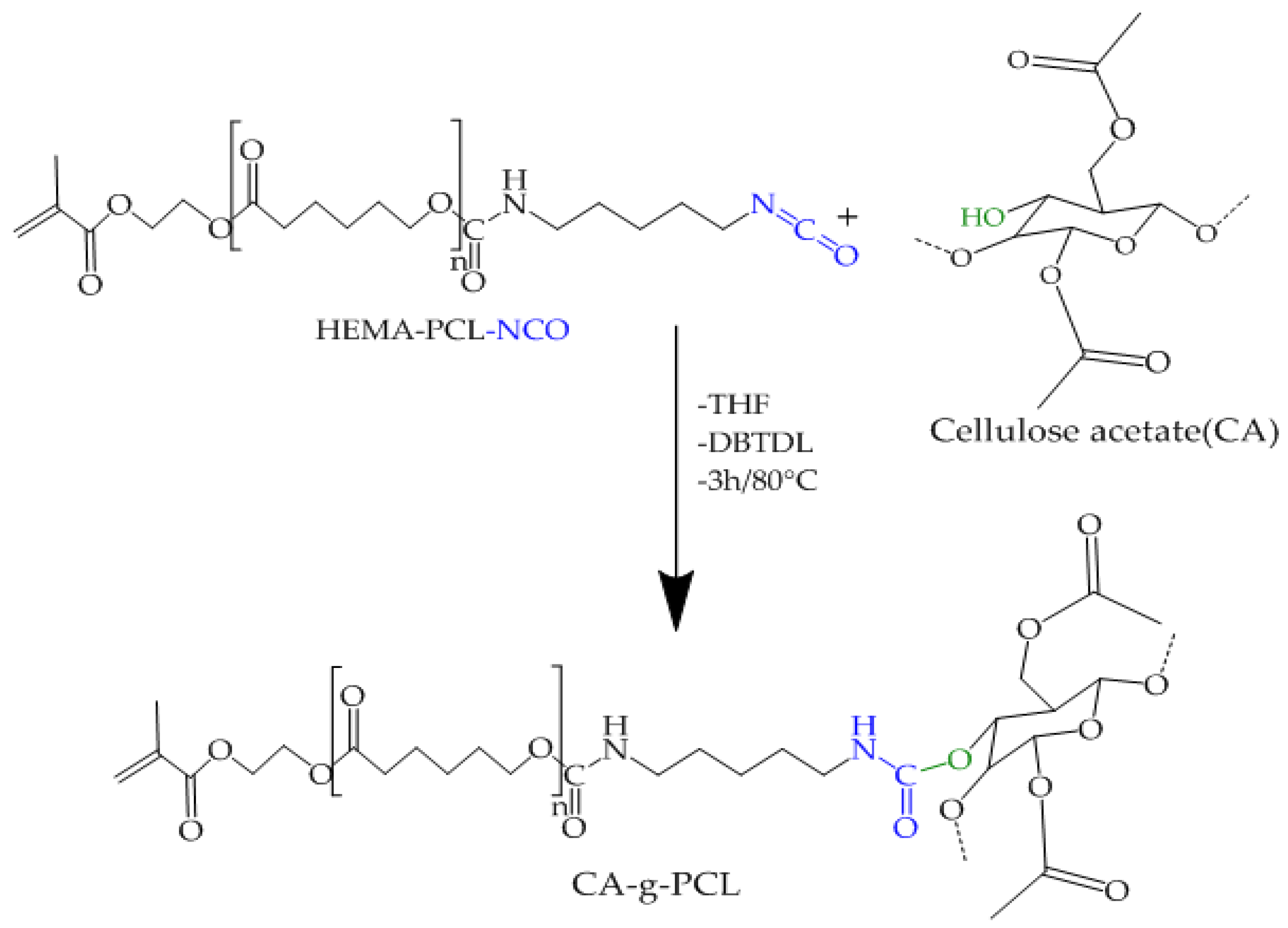 Molecules 27 01408 g012