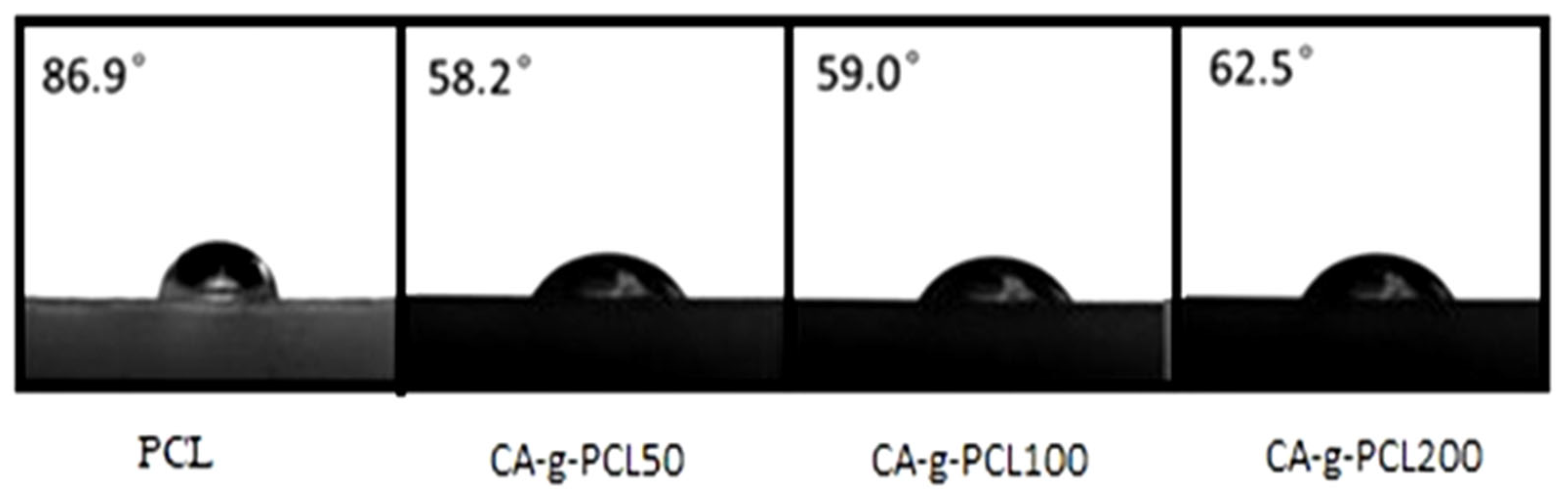 Molecules 27 01408 g015