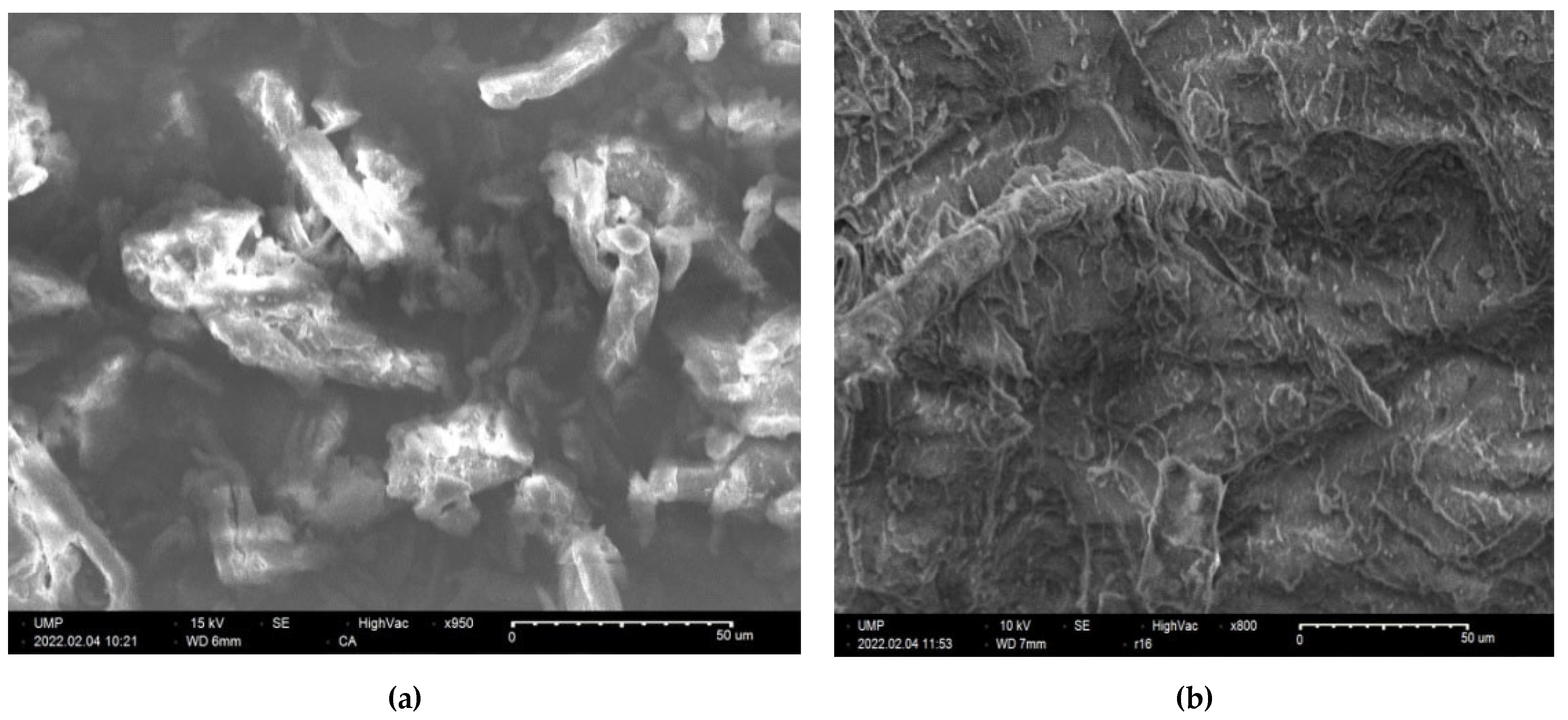 Molecules 27 01408 g016