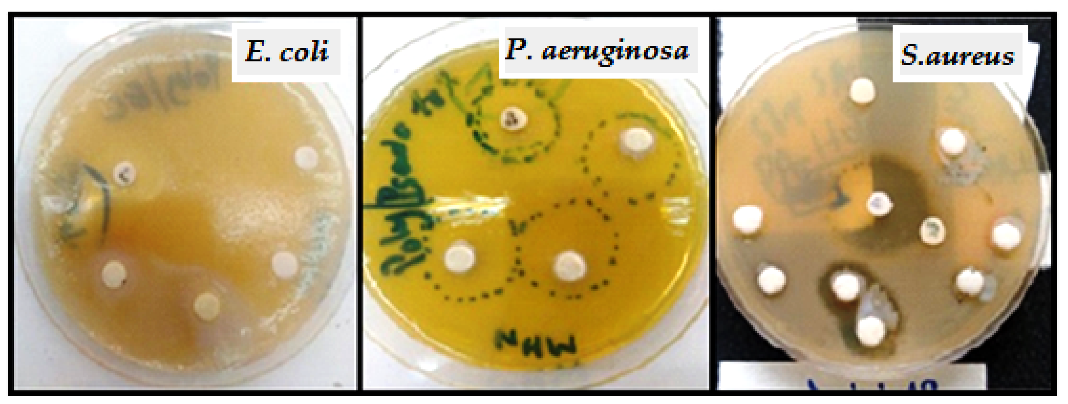 Molecules 27 01408 g018