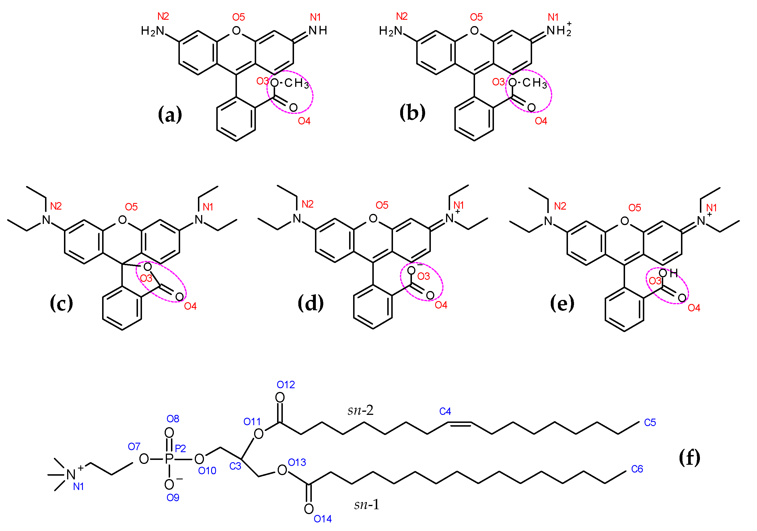 Molecules 27 01420 g001 Molecules 27 01420 g001