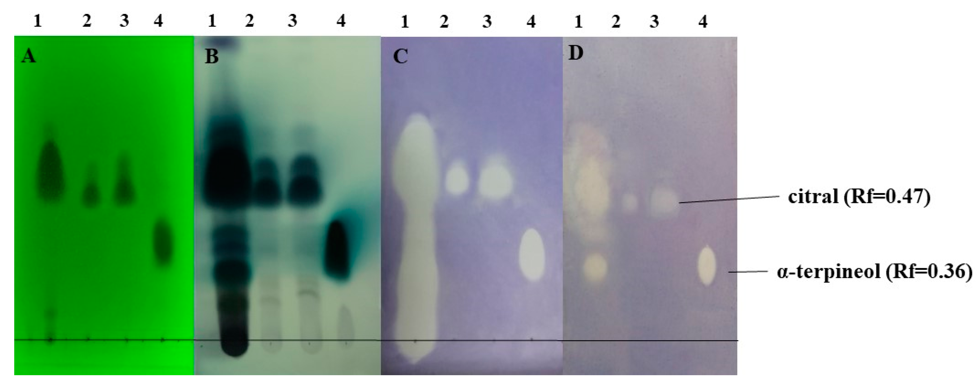 Molecules 27 01423 g005