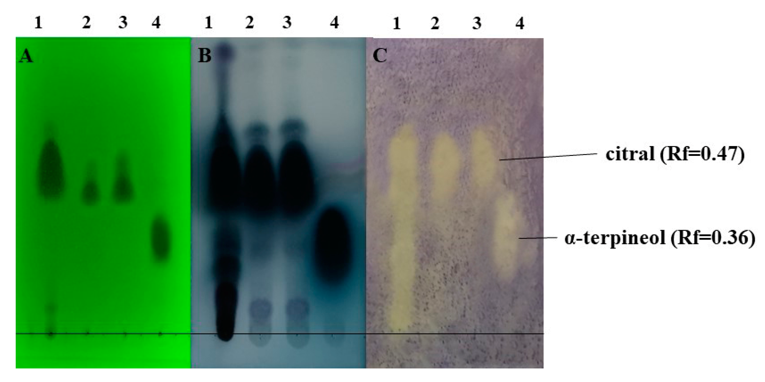 Molecules 27 01423 g006