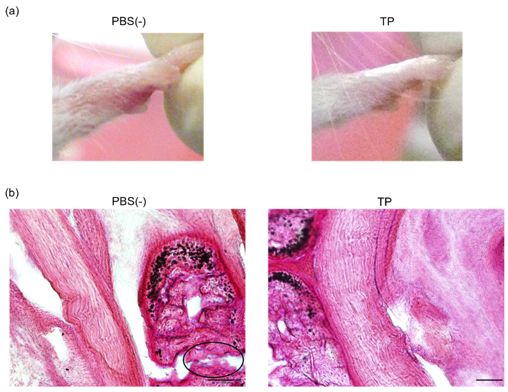 Molecules 27 01425 g004 Molecules 27 01425 g004