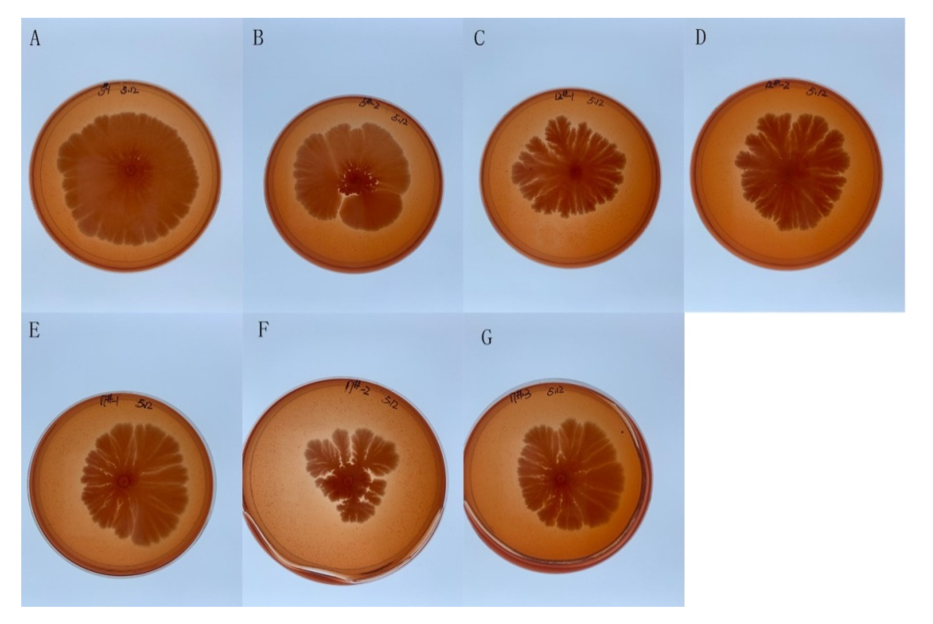 Molecules 27 01428 g003