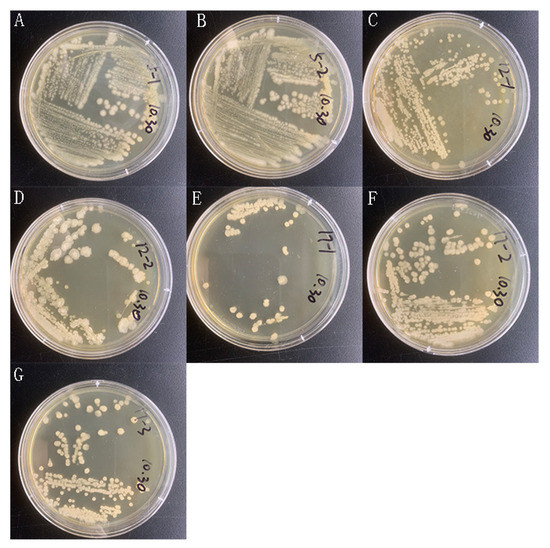 Molecules 27 01428 g0a1 550