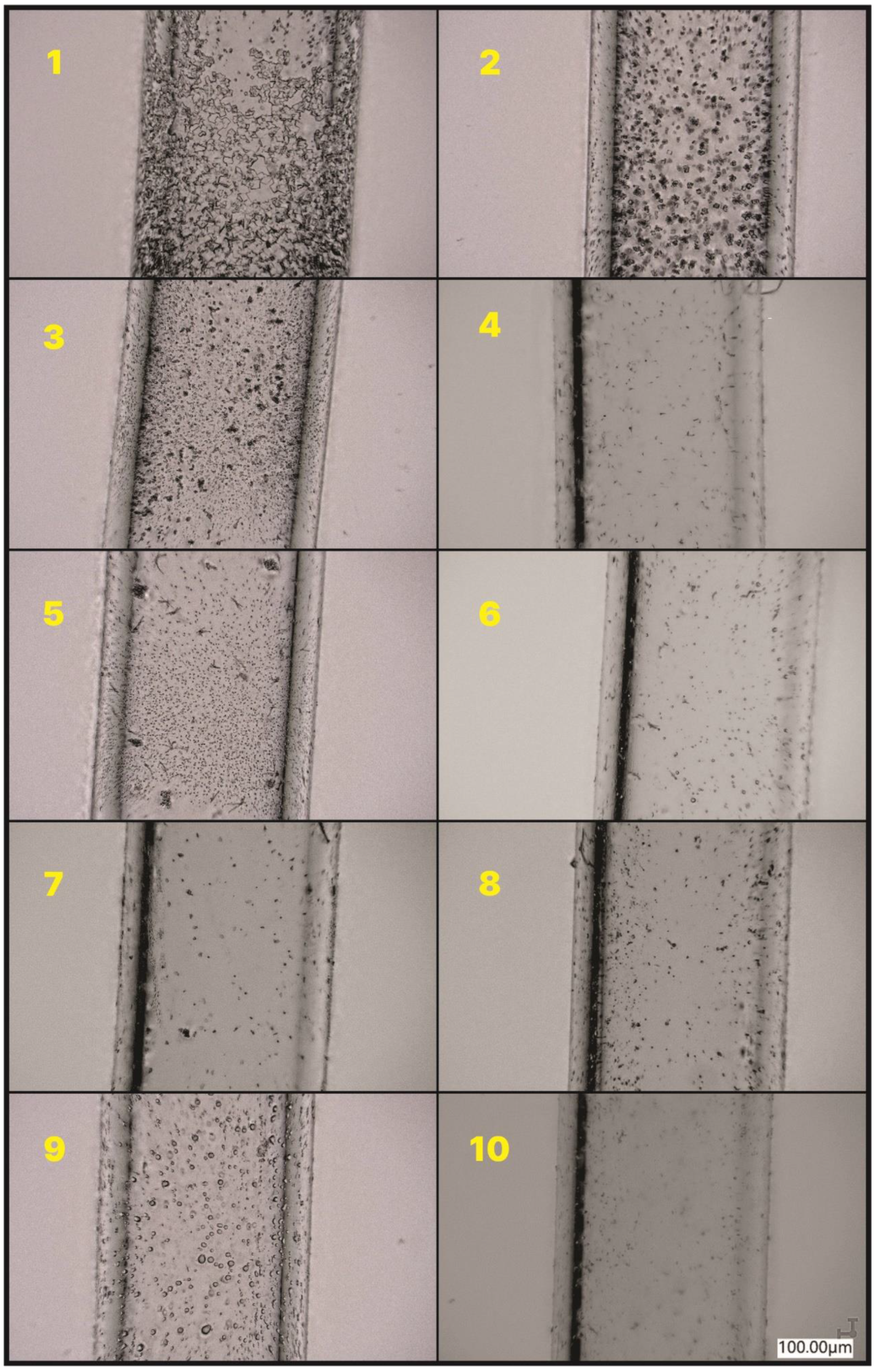 Molecules 27 01441 g005