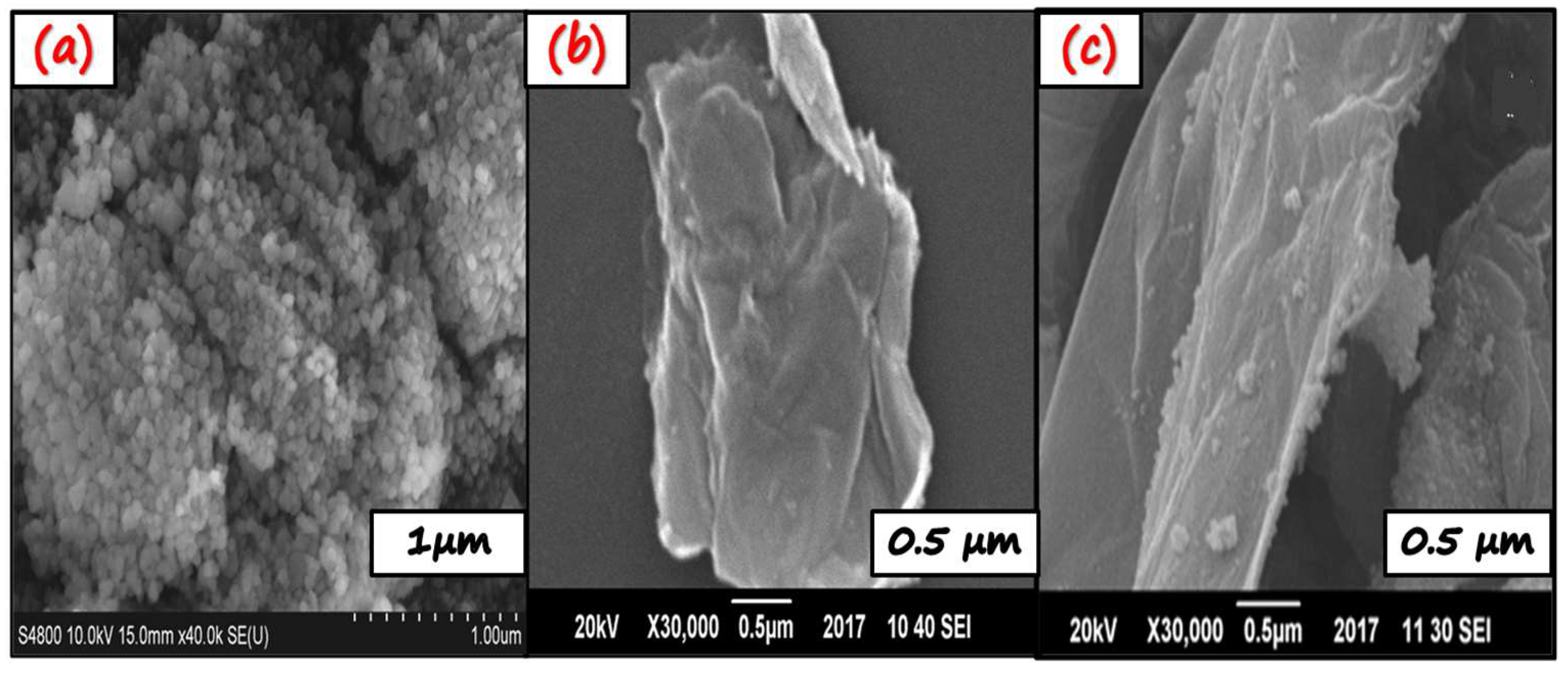 Molecules 27 01442 g002