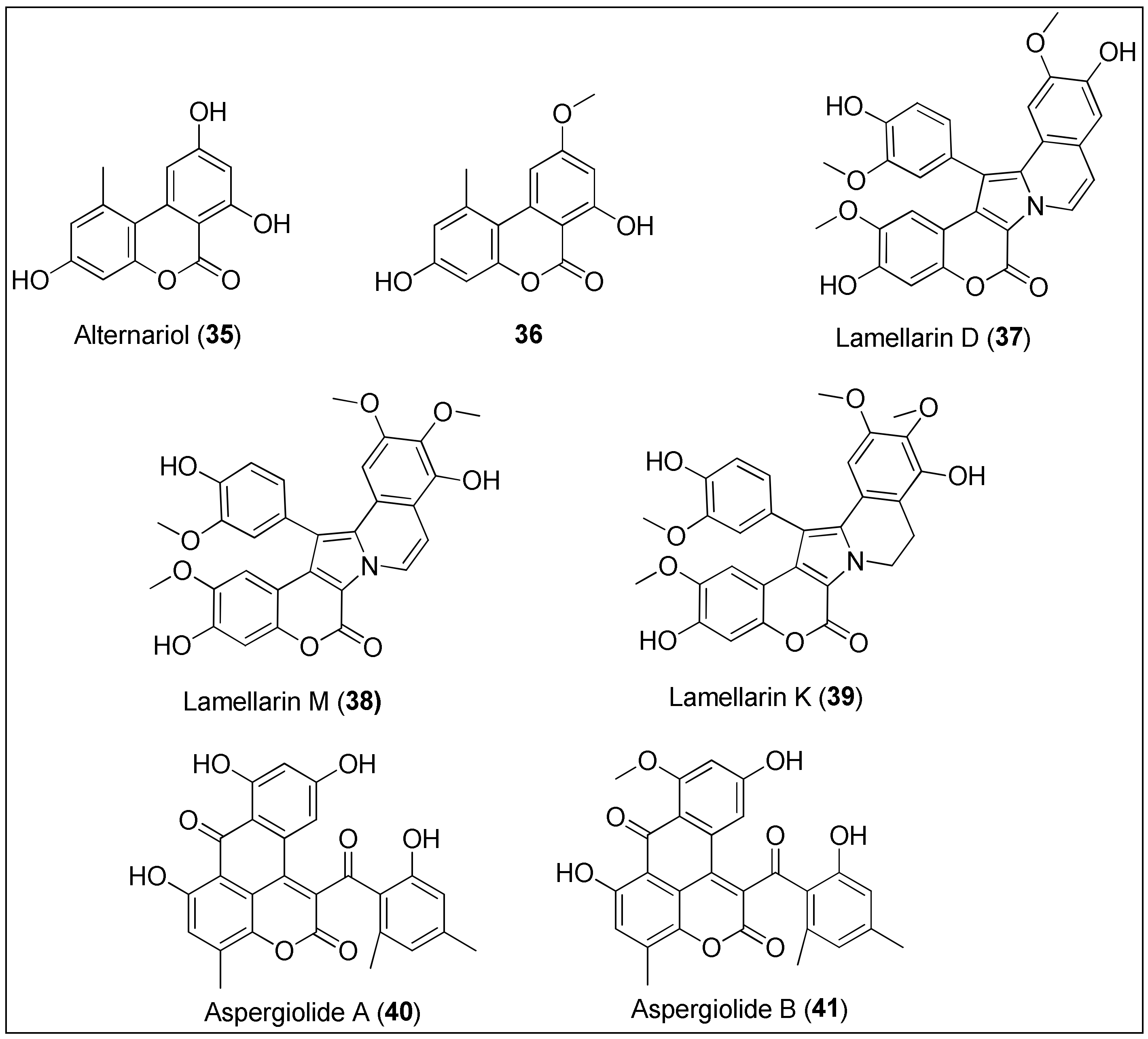 Molecules 27 01449 g004