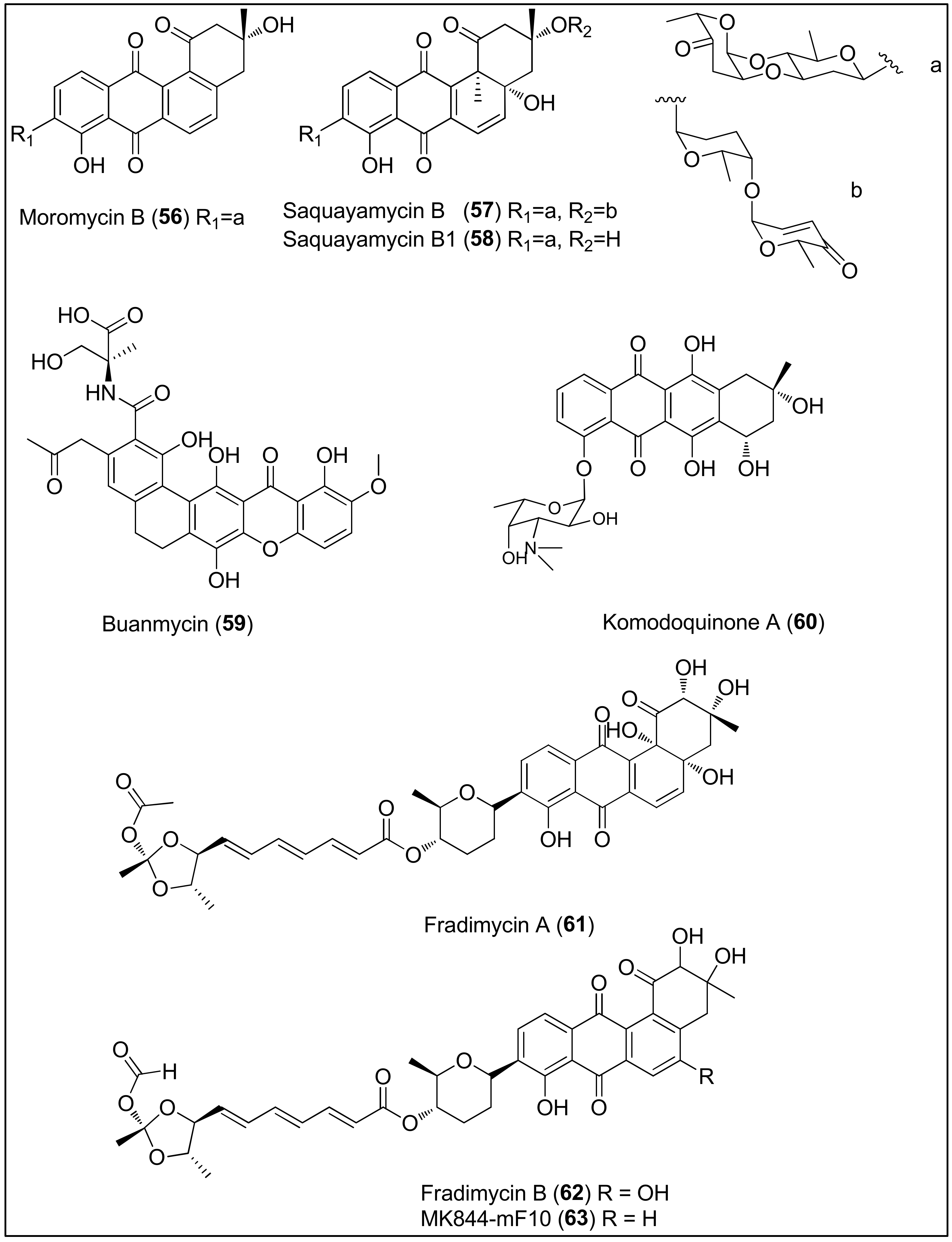 Molecules 27 01449 g006