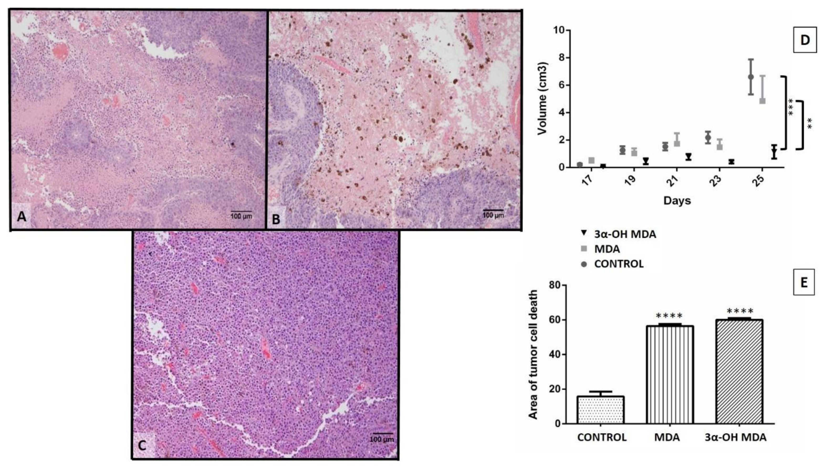 Molecules 27 01451 g005