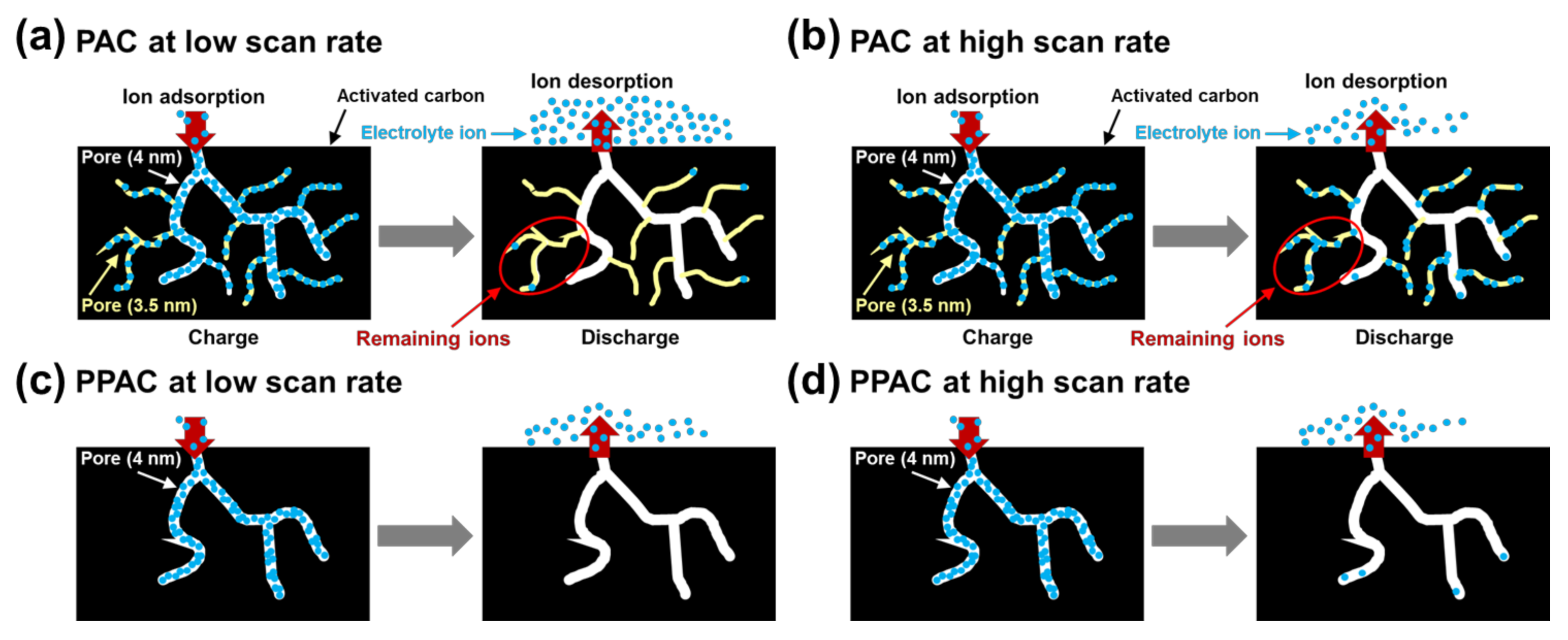 Molecules 27 01454 g004