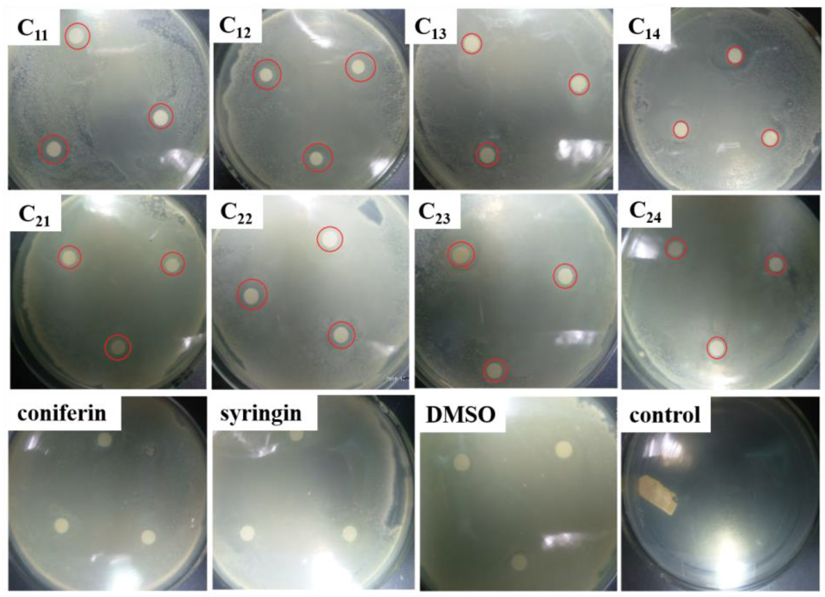 Molecules 27 01466 g003