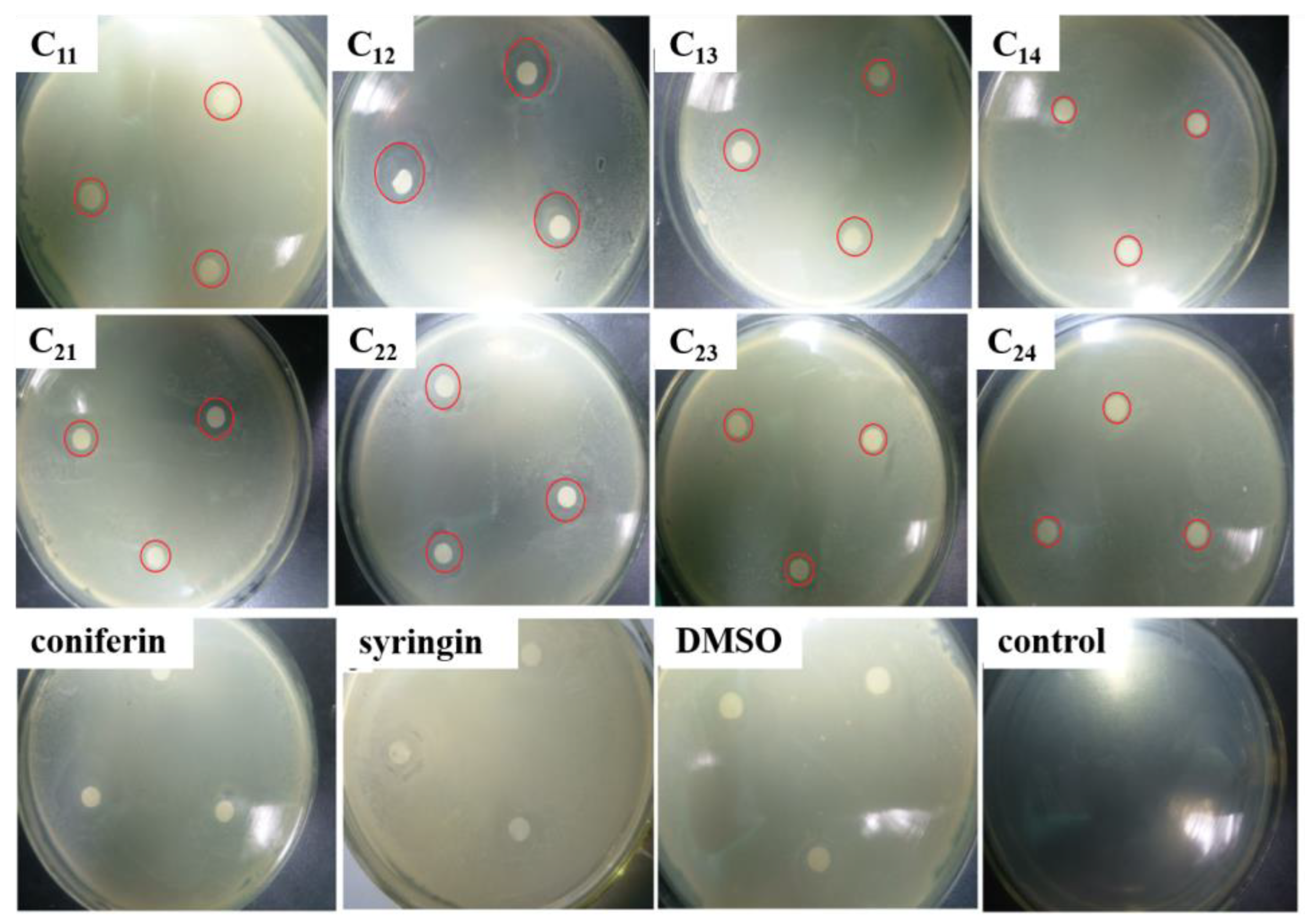 Molecules 27 01466 g004