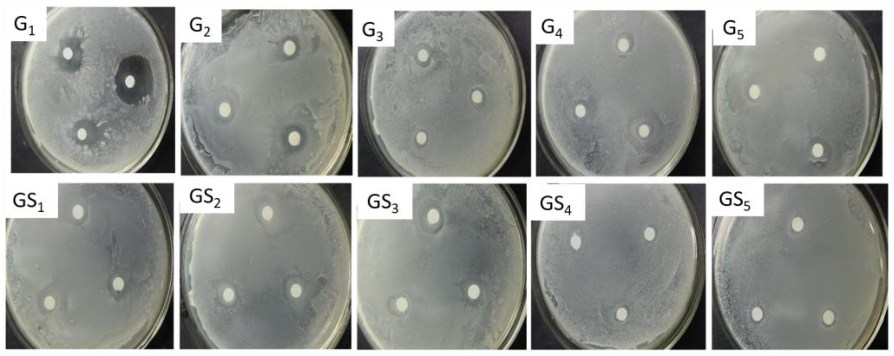 Molecules 27 01466 g007