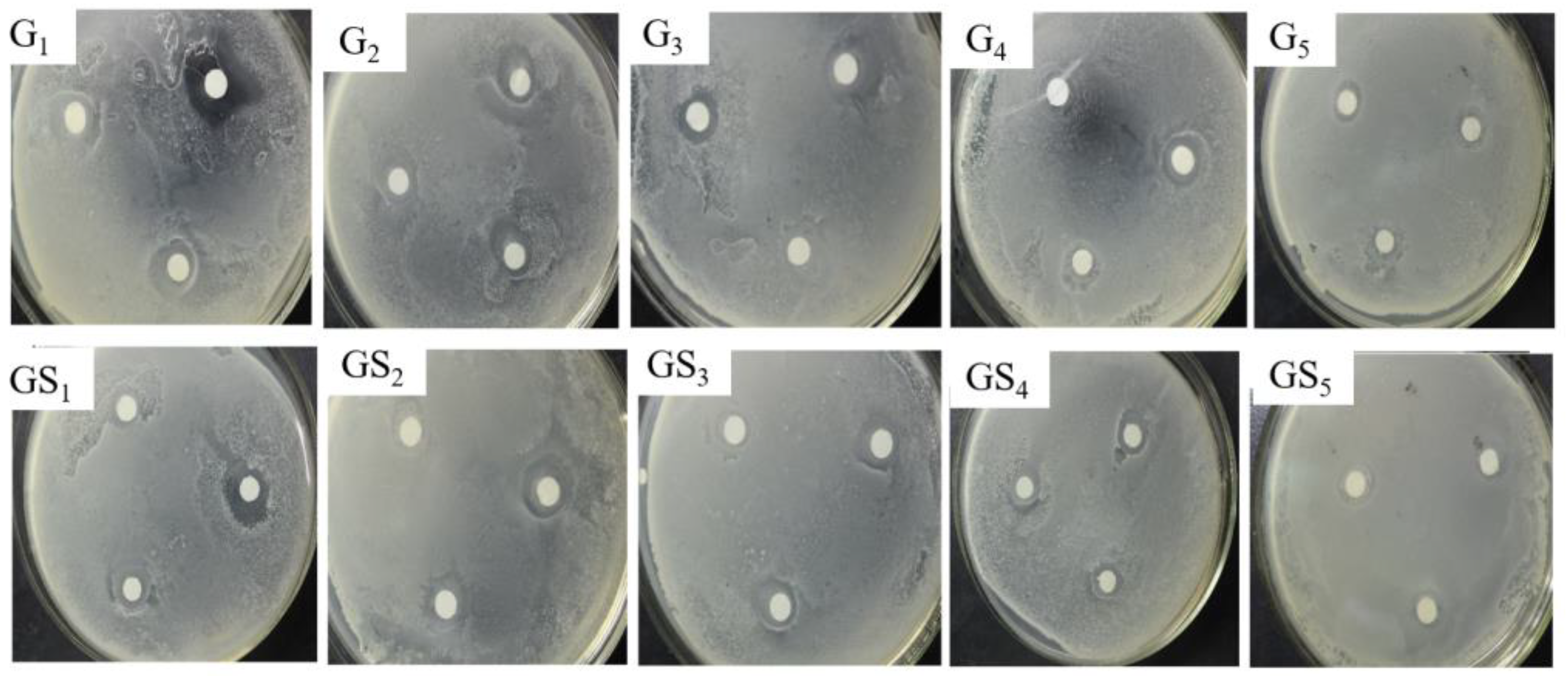 Molecules 27 01466 g008