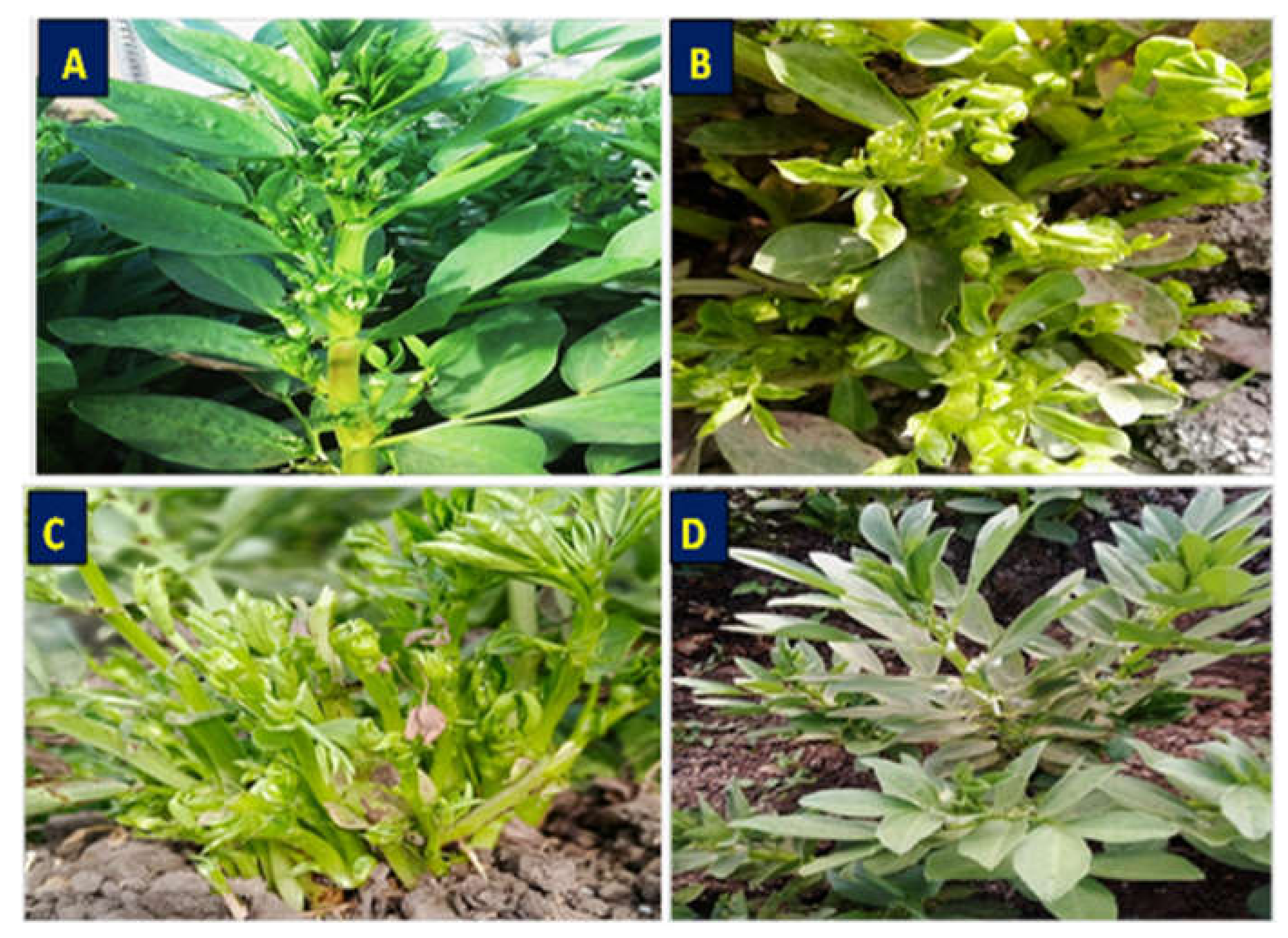 Molecules 27 01467 g003 Molecules 27 01467 g003