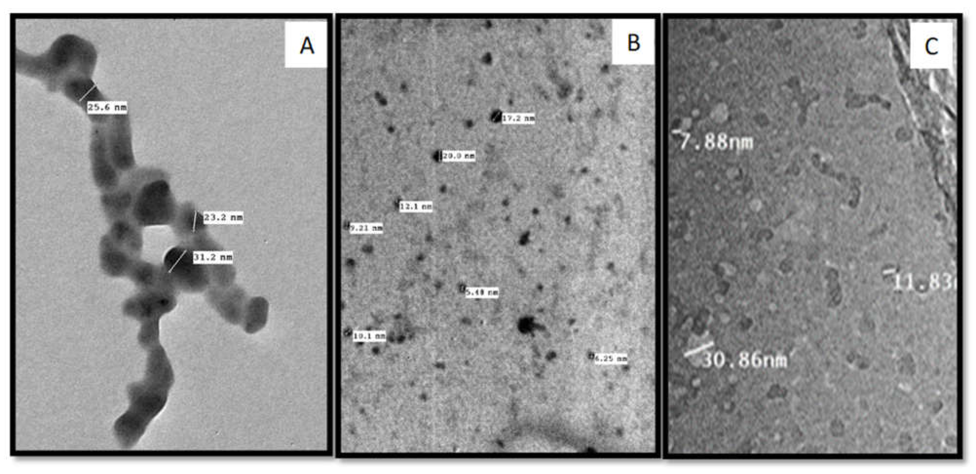 Molecules 27 01467 g004 Molecules 27 01467 g004