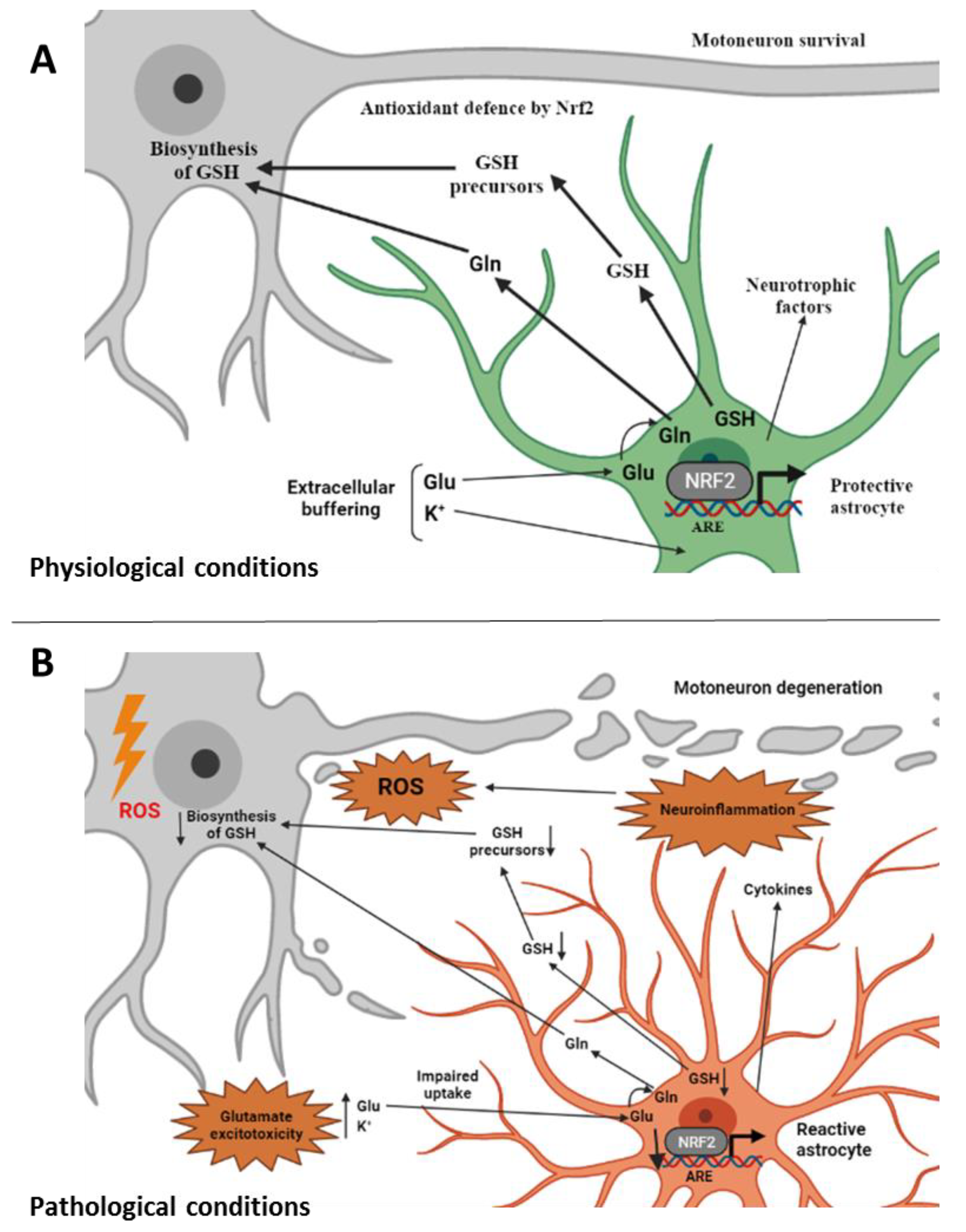 Molecules 27 01471 g001