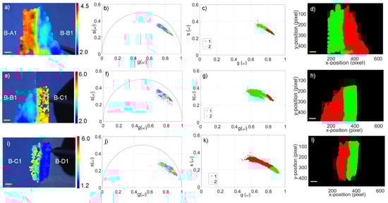 Molecules 27 01475 g004