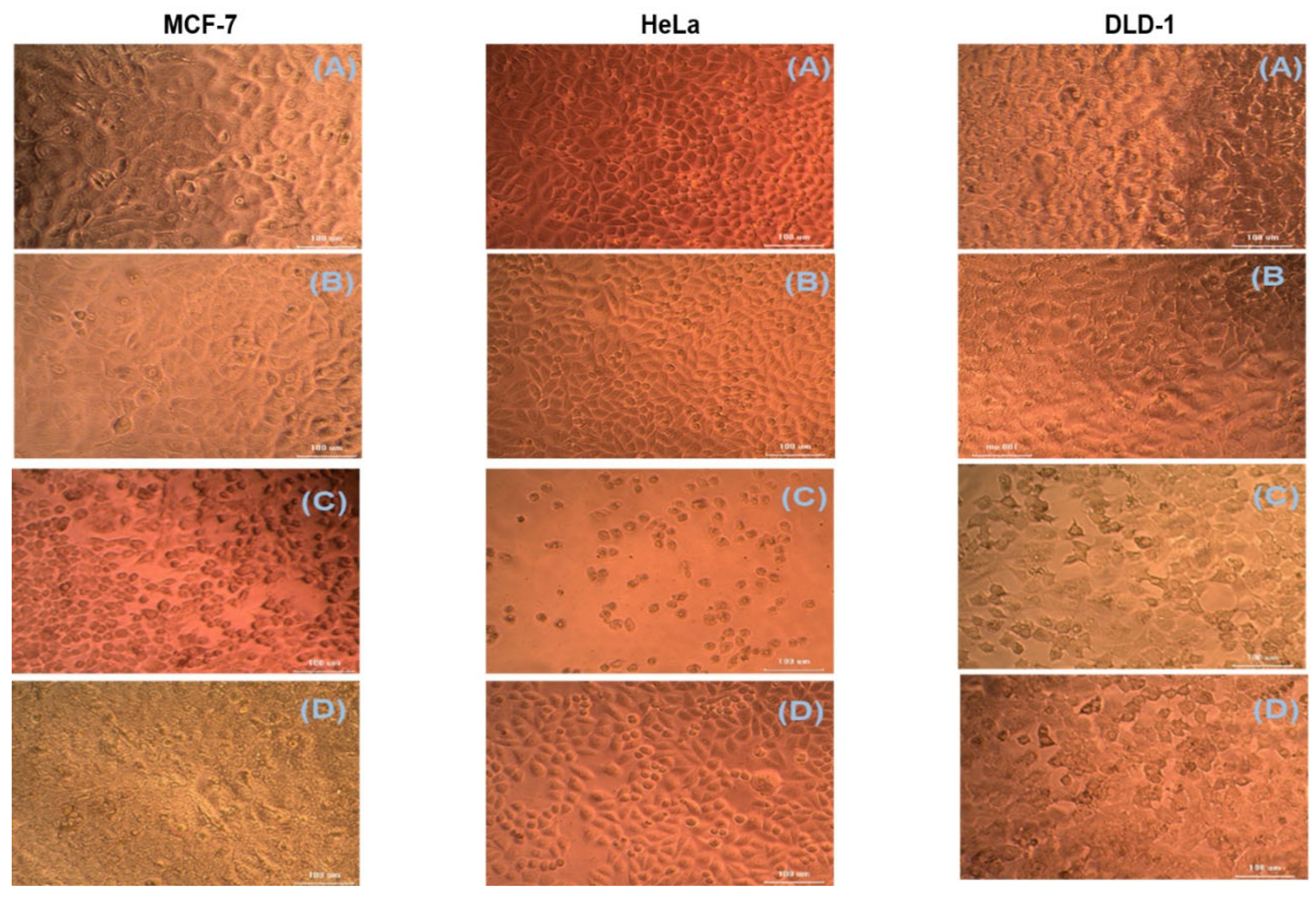 Molecules 27 01480 g003