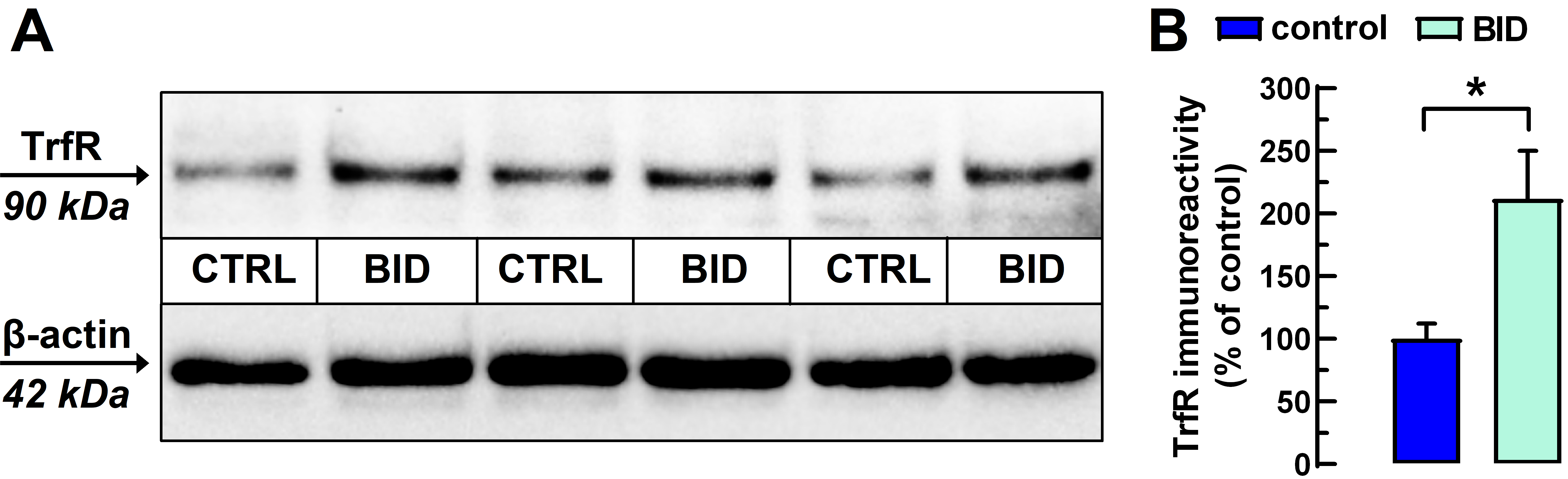 Molecules 27 01489 g001