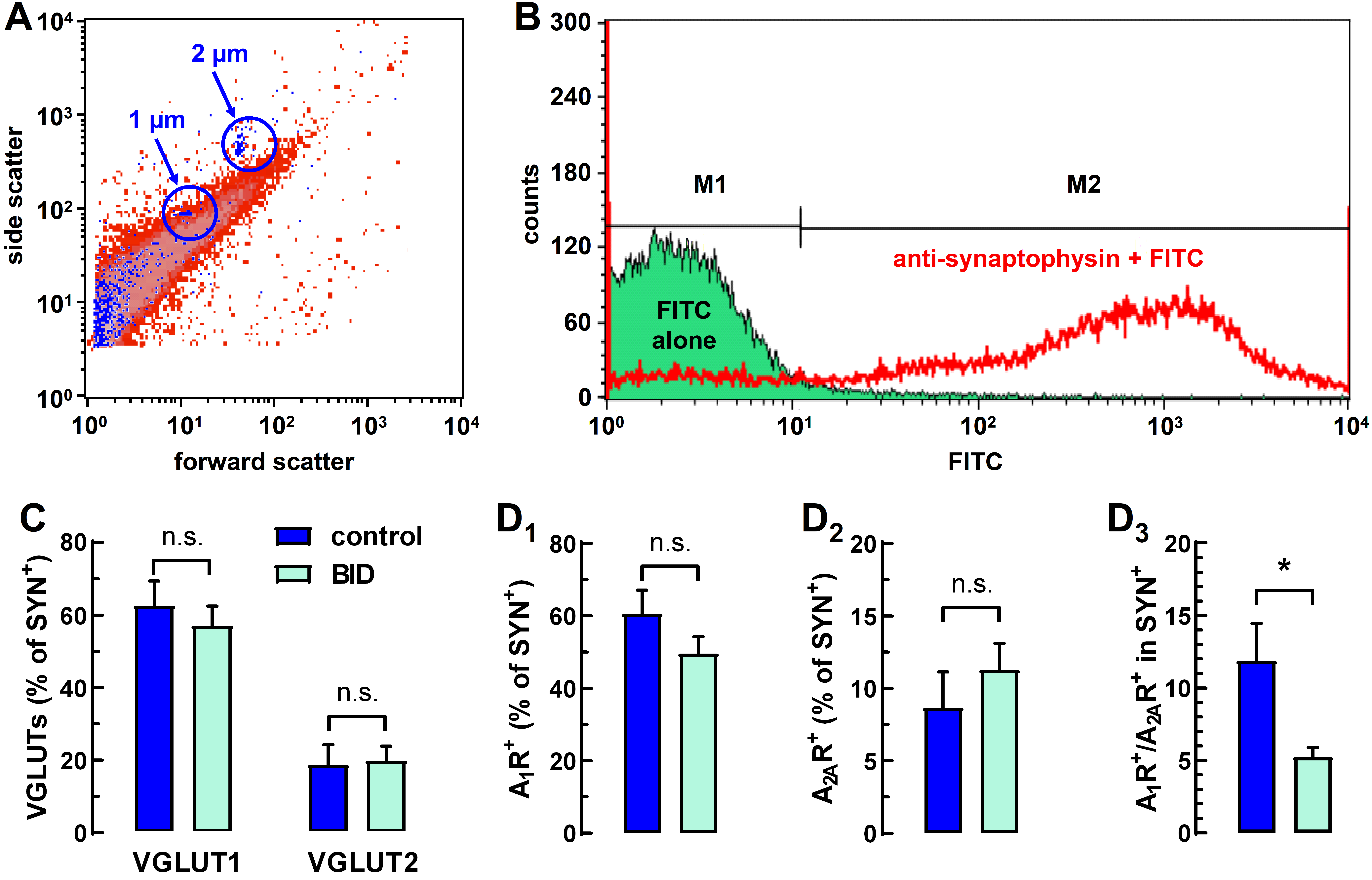 Molecules 27 01489 g002