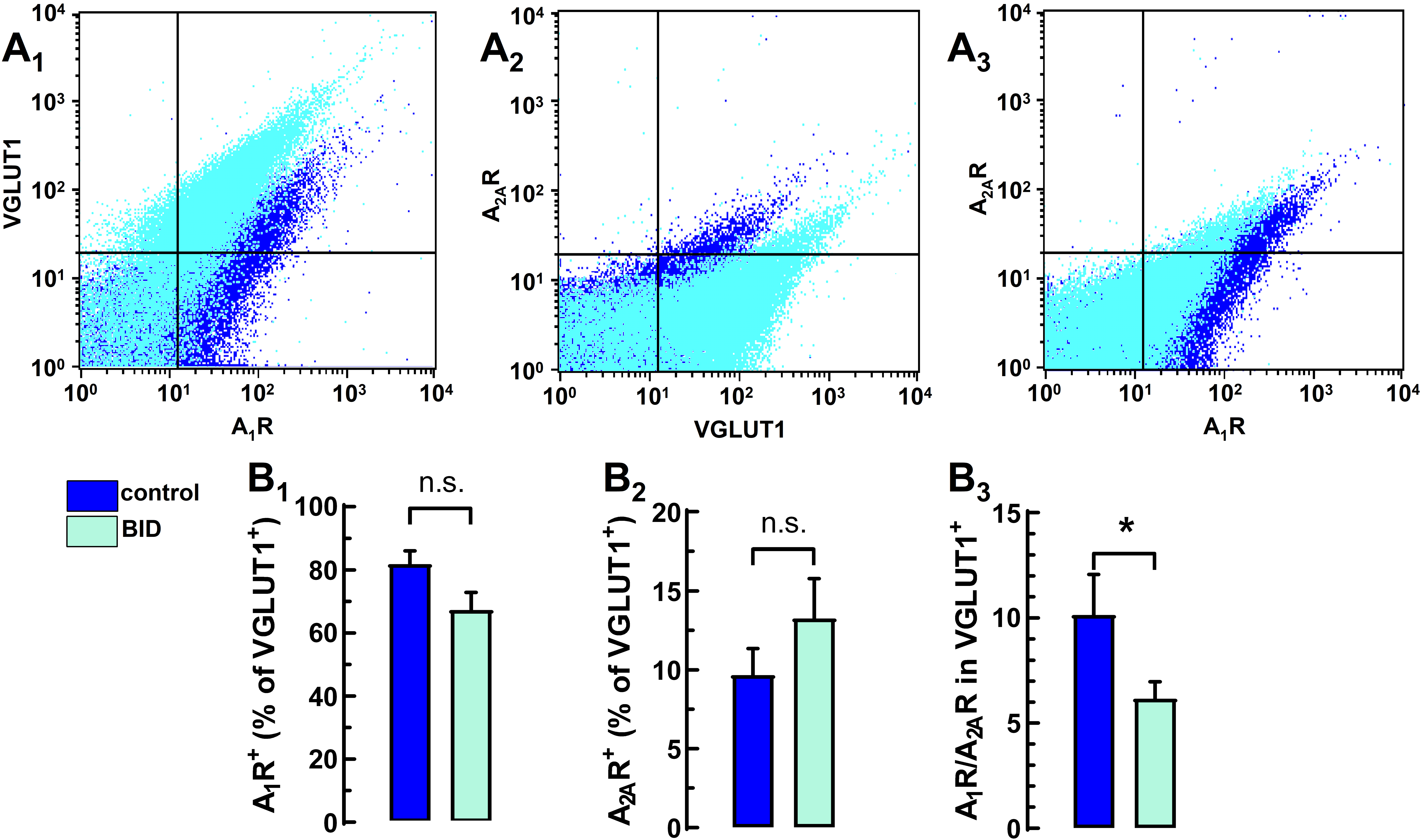 Molecules 27 01489 g003