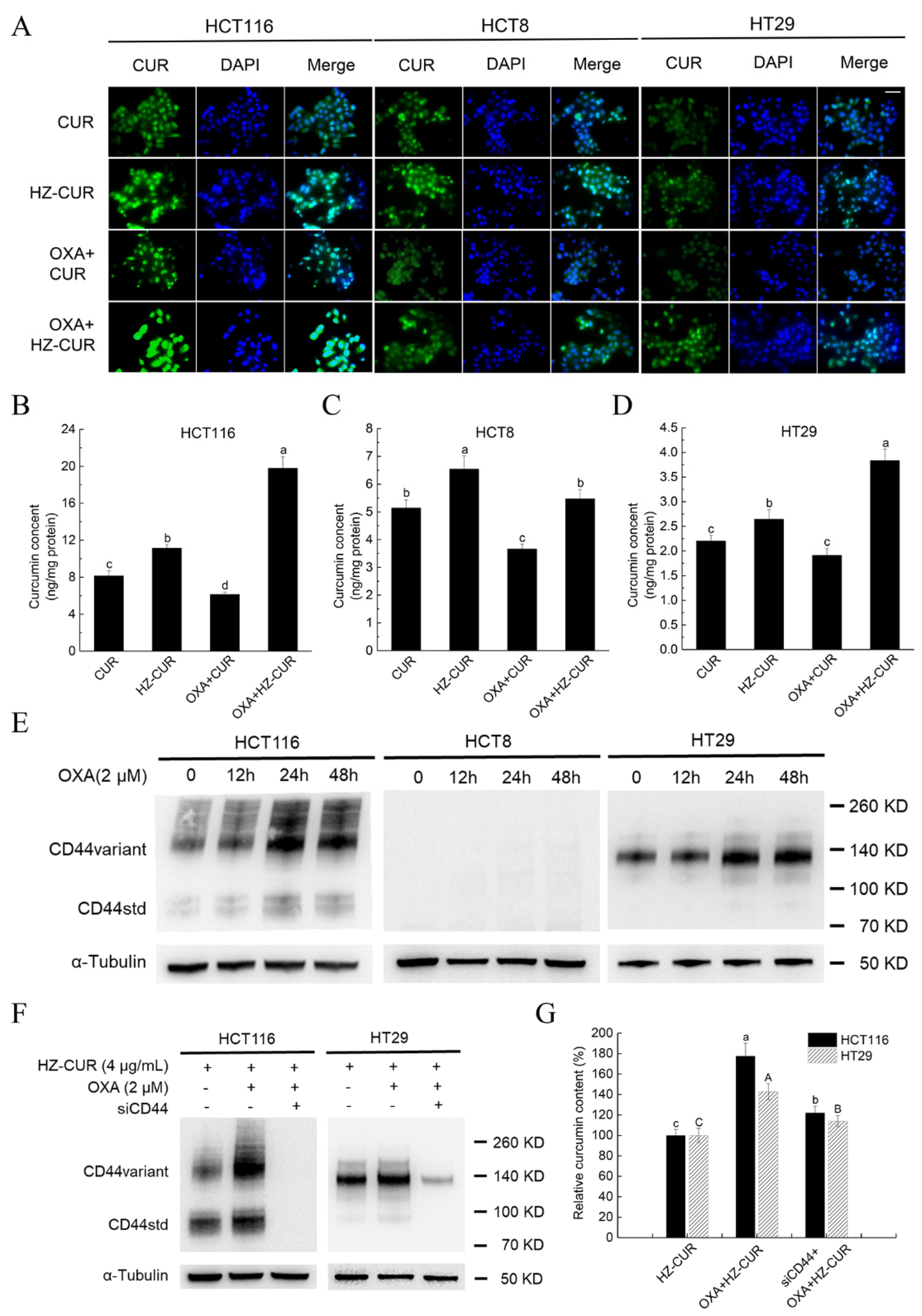 Molecules 27 01498 g003 Molecules 27 01498 g003