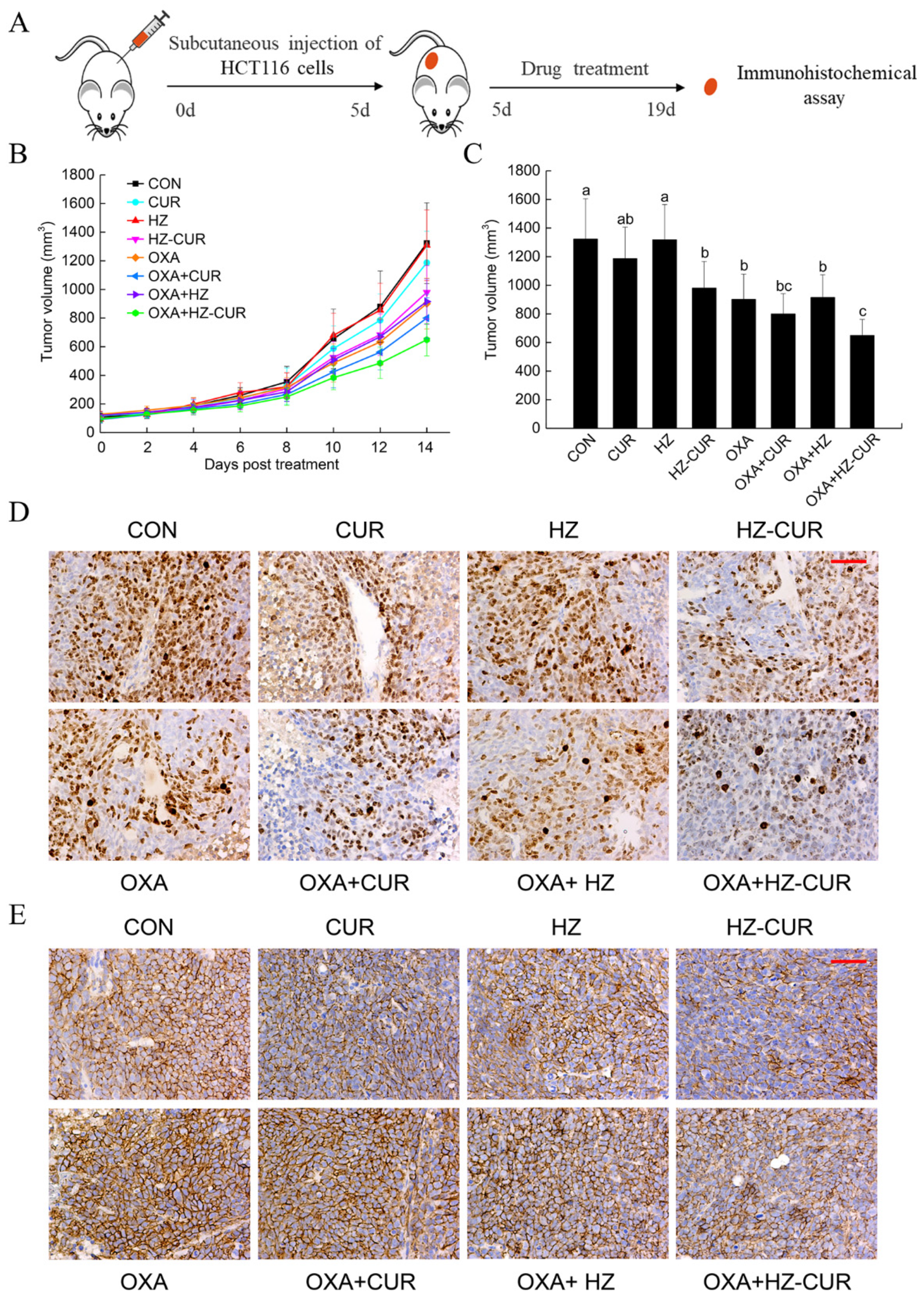 Molecules 27 01498 g004 Molecules 27 01498 g004