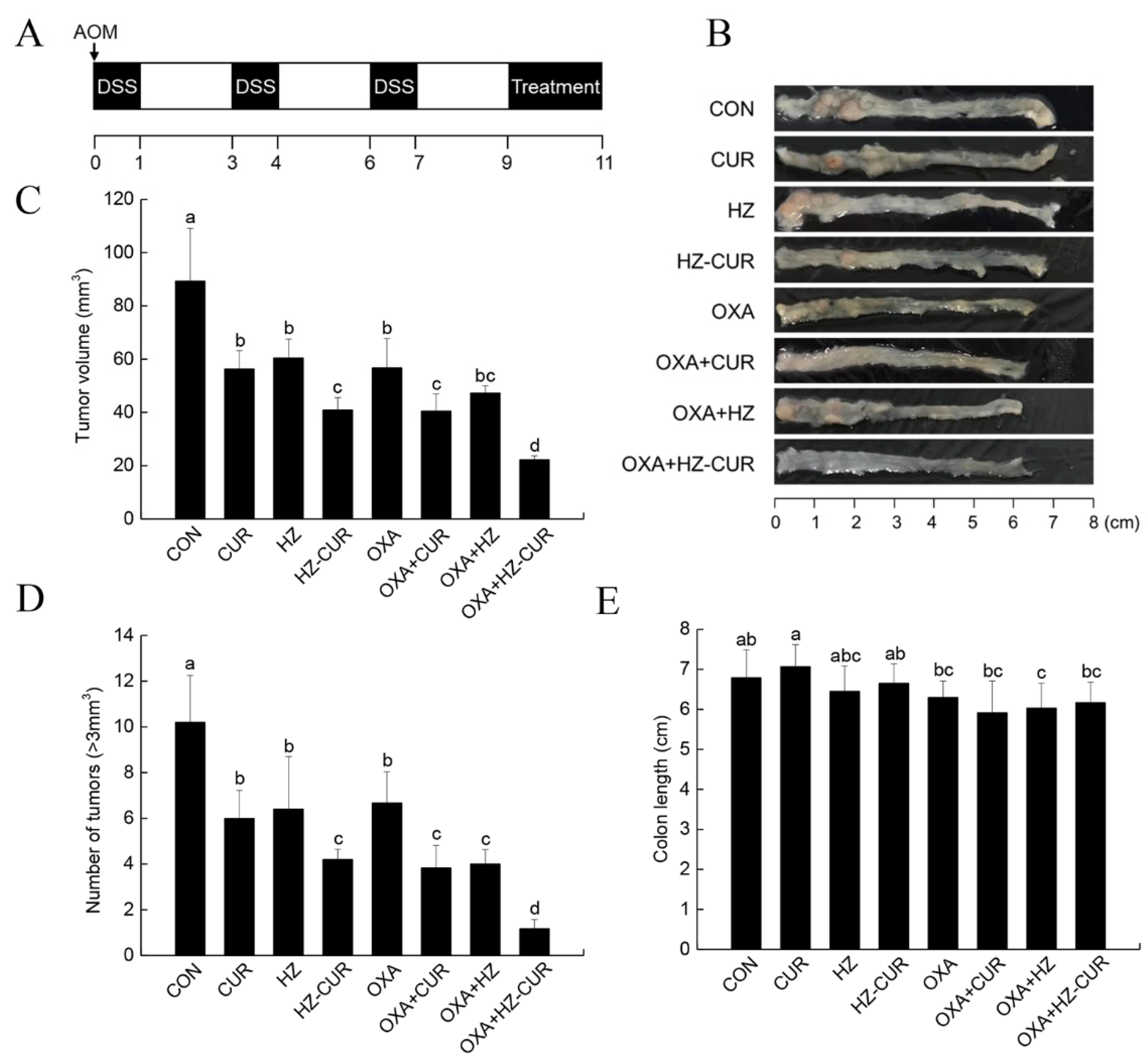 Molecules 27 01498 g005 Molecules 27 01498 g005