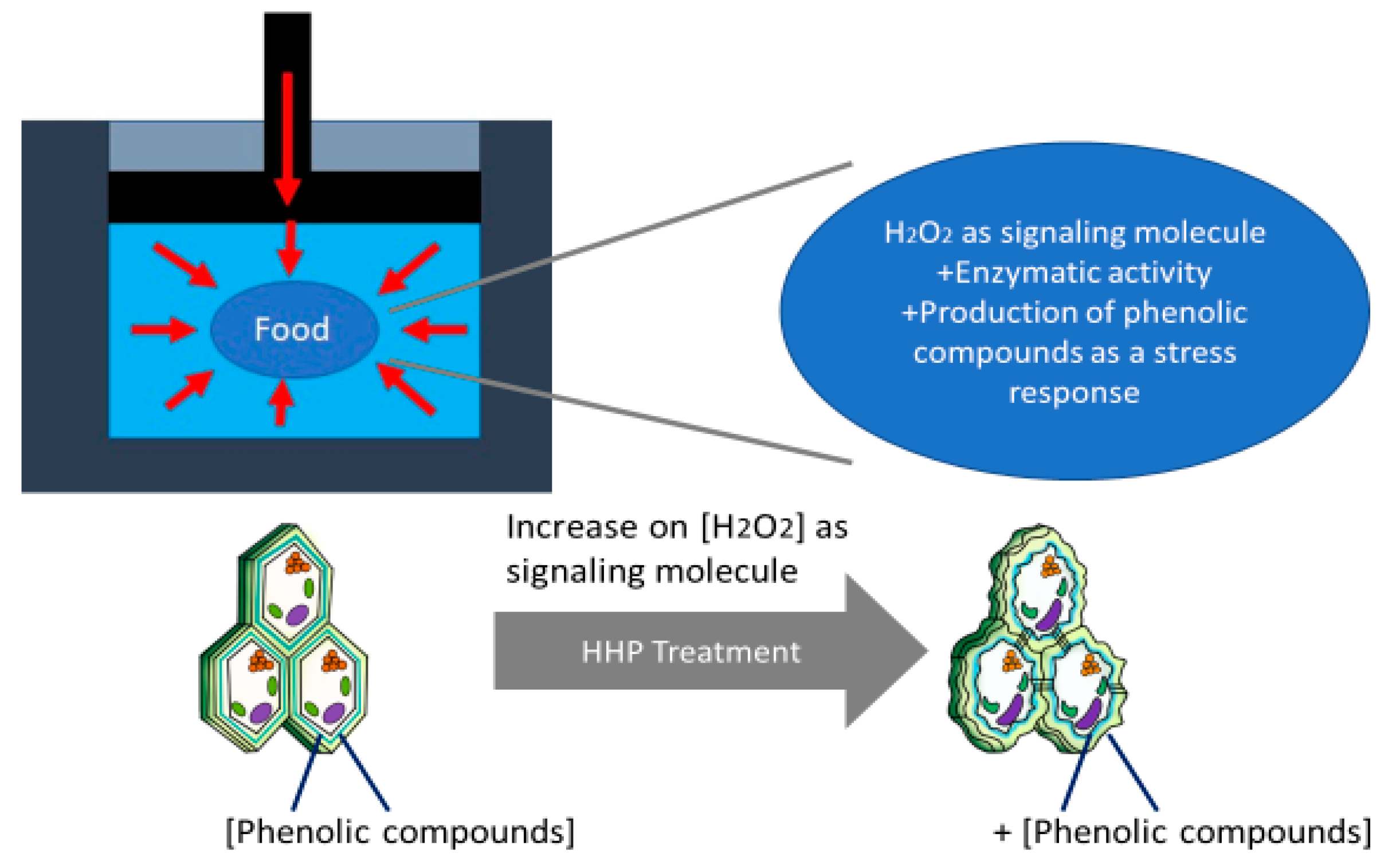 Molecules 27 01502 g003 Molecules 27 01502 g003