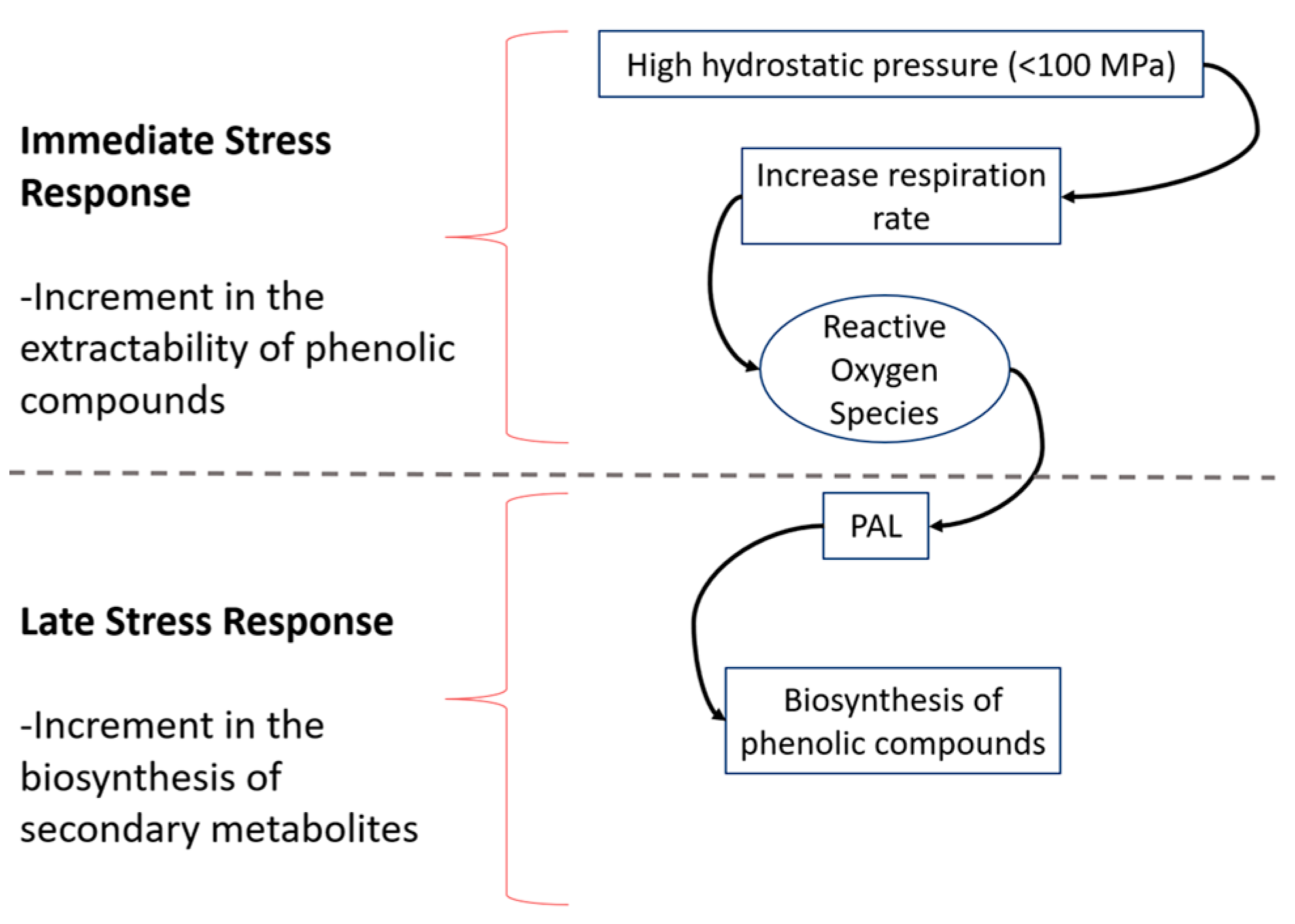 Molecules 27 01502 g005 Molecules 27 01502 g005