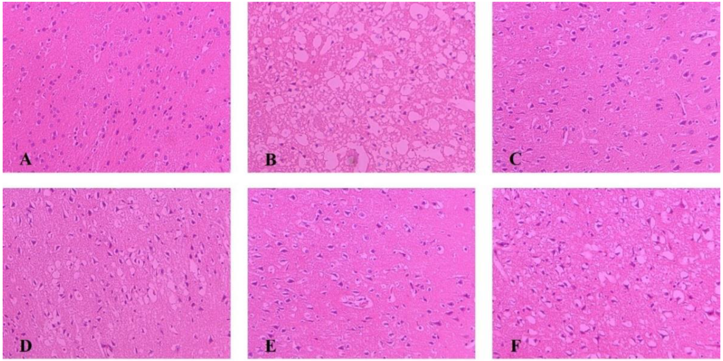 Molecules 27 01511 g003