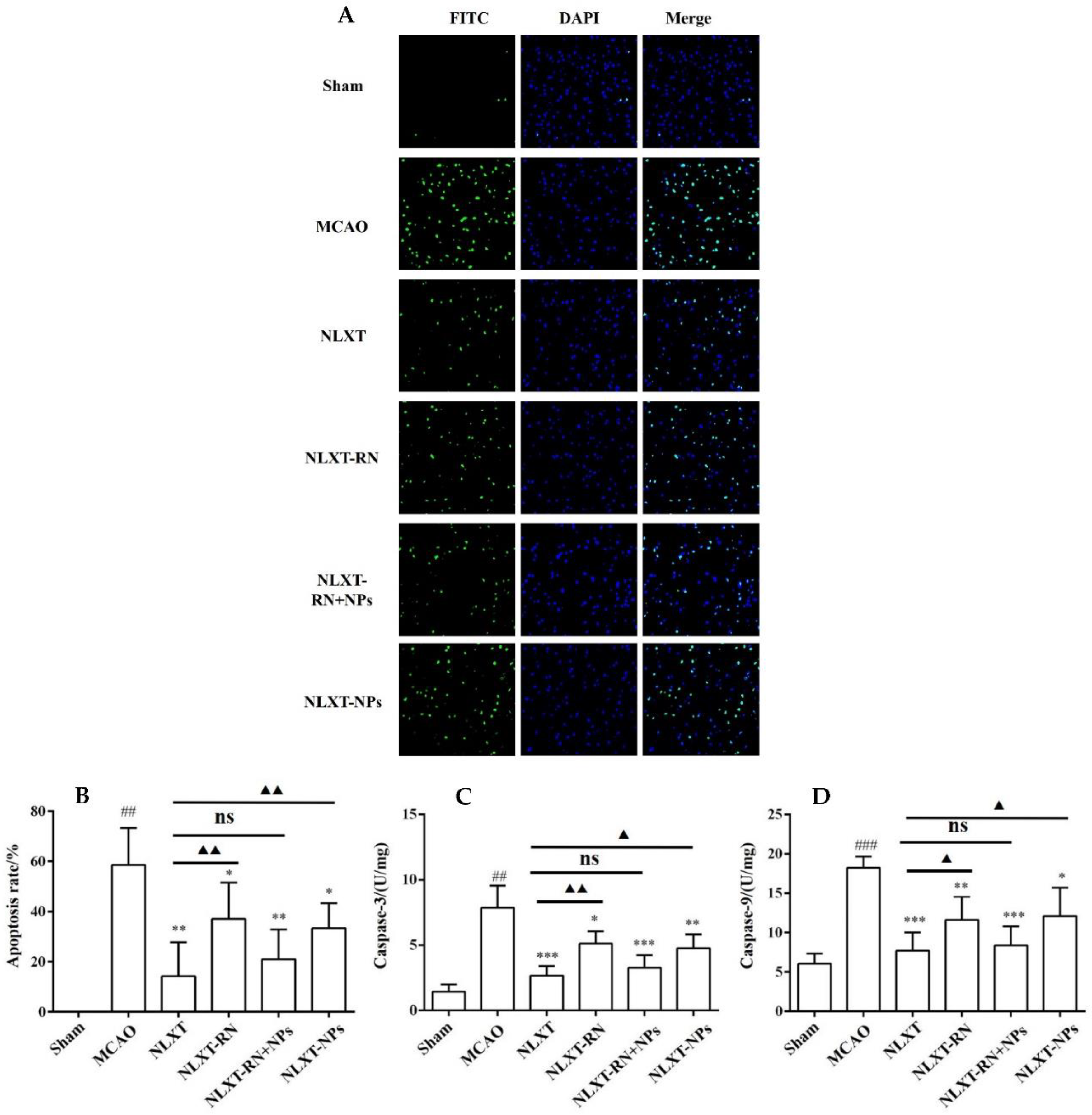 Molecules 27 01511 g005