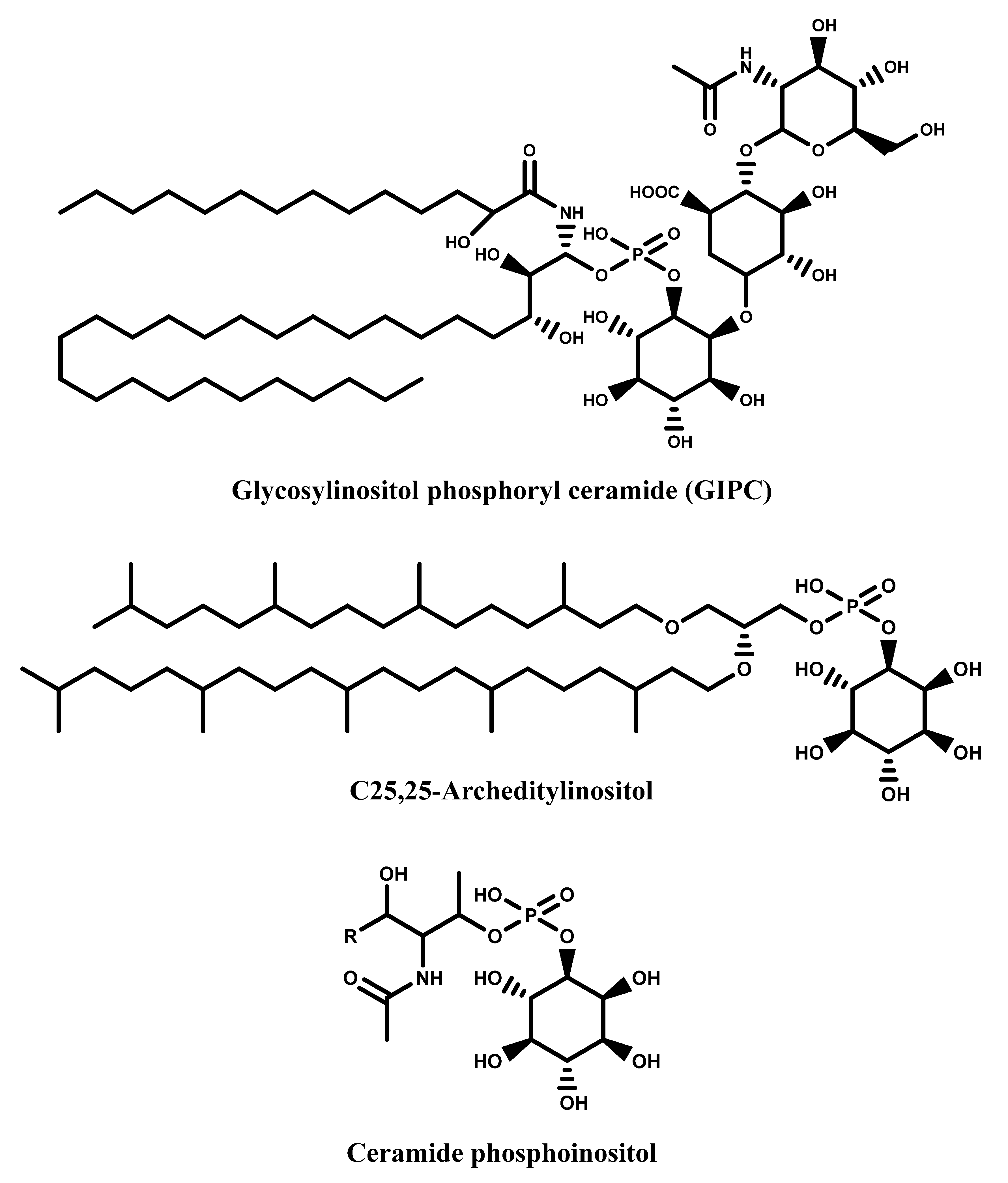 Molecules 27 01525 g004