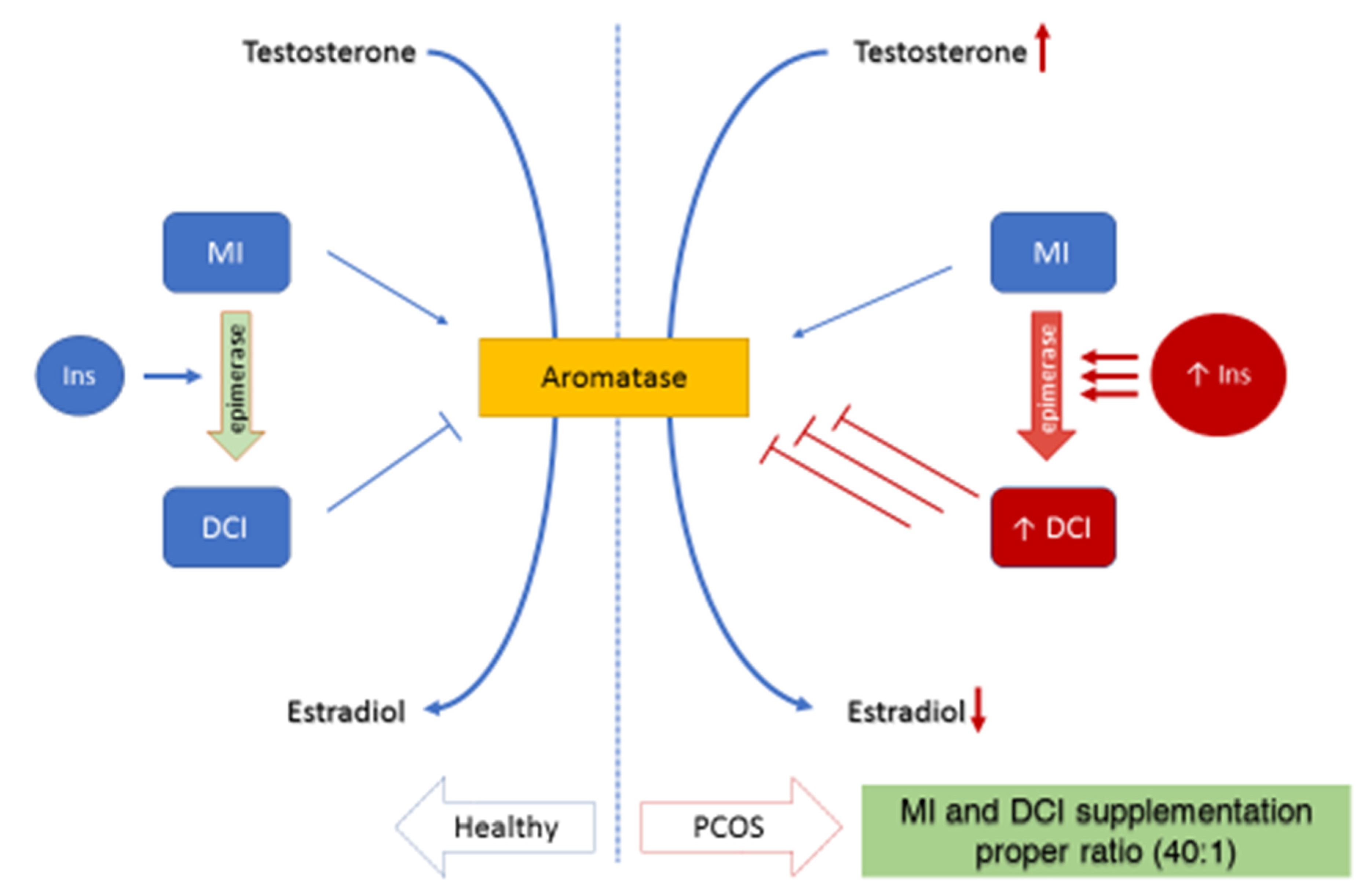 Molecules 27 01525 g006